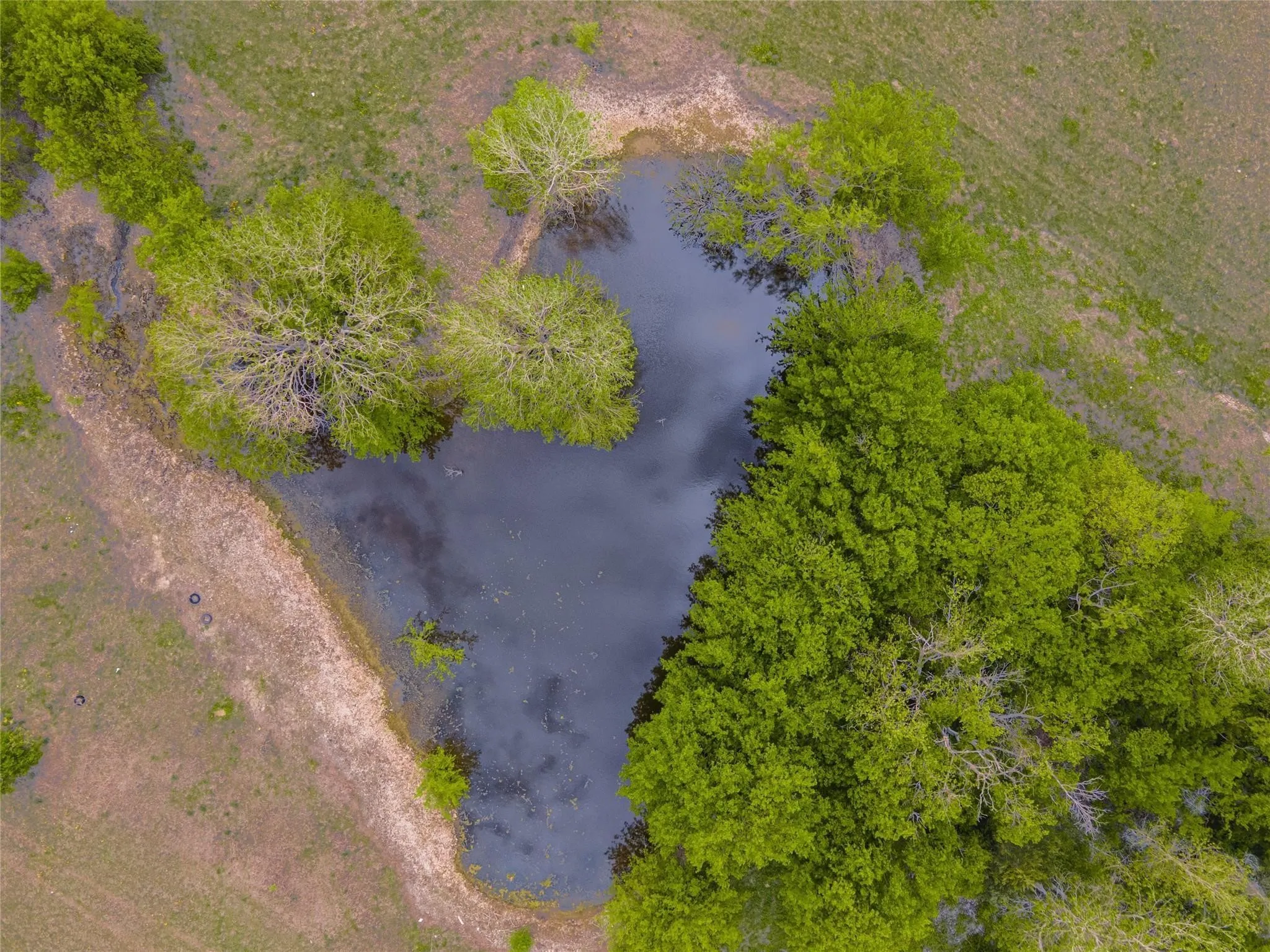 Sky Road seasonal pond