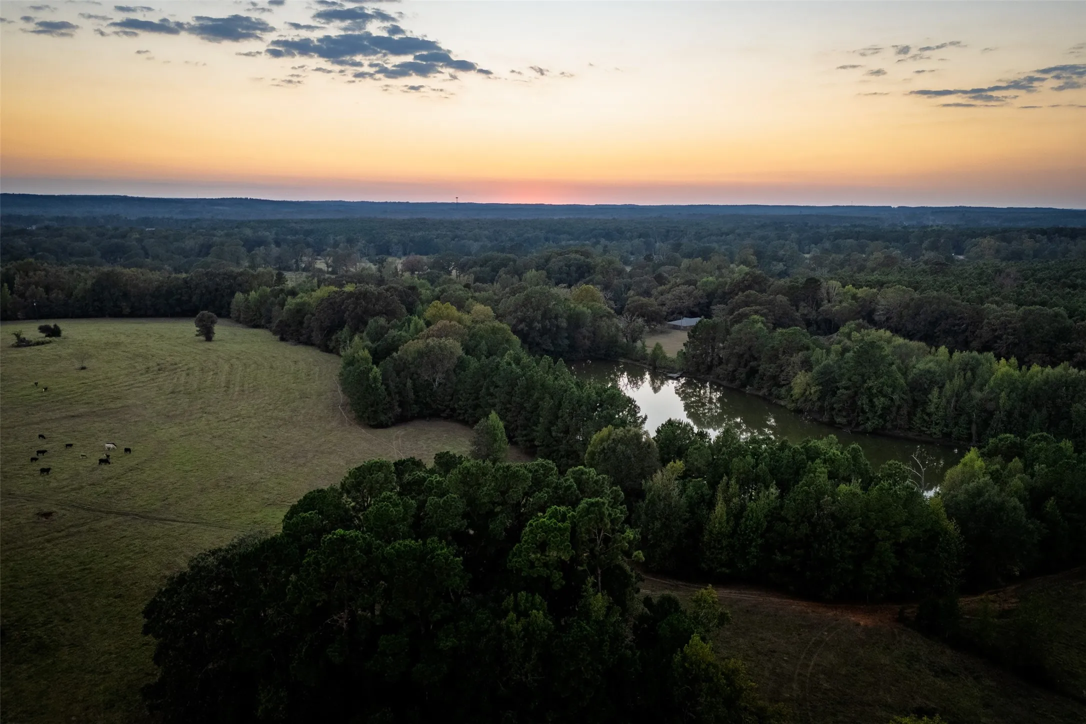 Improved Land For Sale in Shelby County , 973 County Road 2572, Center, Texas 75935, 0, 0, Garage spaces, 0 Sqft, built in 1980, mls#21087604, Real Estate Agent in Center, Homes For Sale in Shelby county, Homes For Sale in Center, Realtor in Center Texas, Real Estate Brokerage Independent Realty Texas, Luminita Cordes Realtor