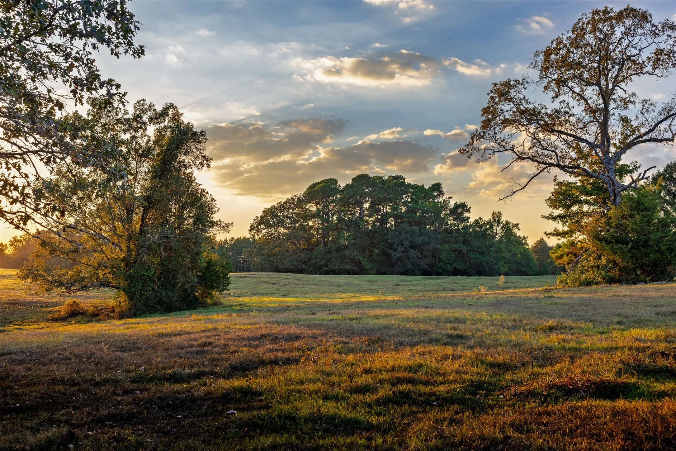 Improved Land For Sale in Shelby County , 973 County Road 2572, Center, Texas 75935, 0, 0, Garage spaces, 0 Sqft, built in 1980, mls#21087604, Real Estate Agent in Center, Homes For Sale in Shelby county, Homes For Sale in Center, Realtor in Center Texas, Real Estate Brokerage Independent Realty Texas, Luminita Cordes Realtor