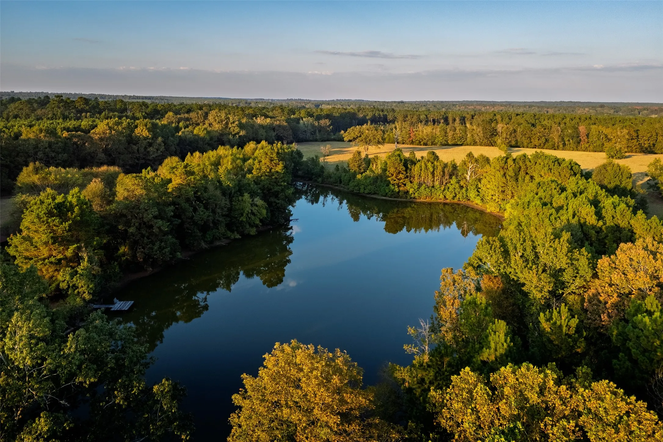 Improved Land For Sale in Shelby County , 973 County Road 2572, Center, Texas 75935, 0, 0, Garage spaces, 0 Sqft, built in 1980, mls#21087604, Real Estate Agent in Center, Homes For Sale in Shelby county, Homes For Sale in Center, Realtor in Center Texas, Real Estate Brokerage Independent Realty Texas, Luminita Cordes Realtor
