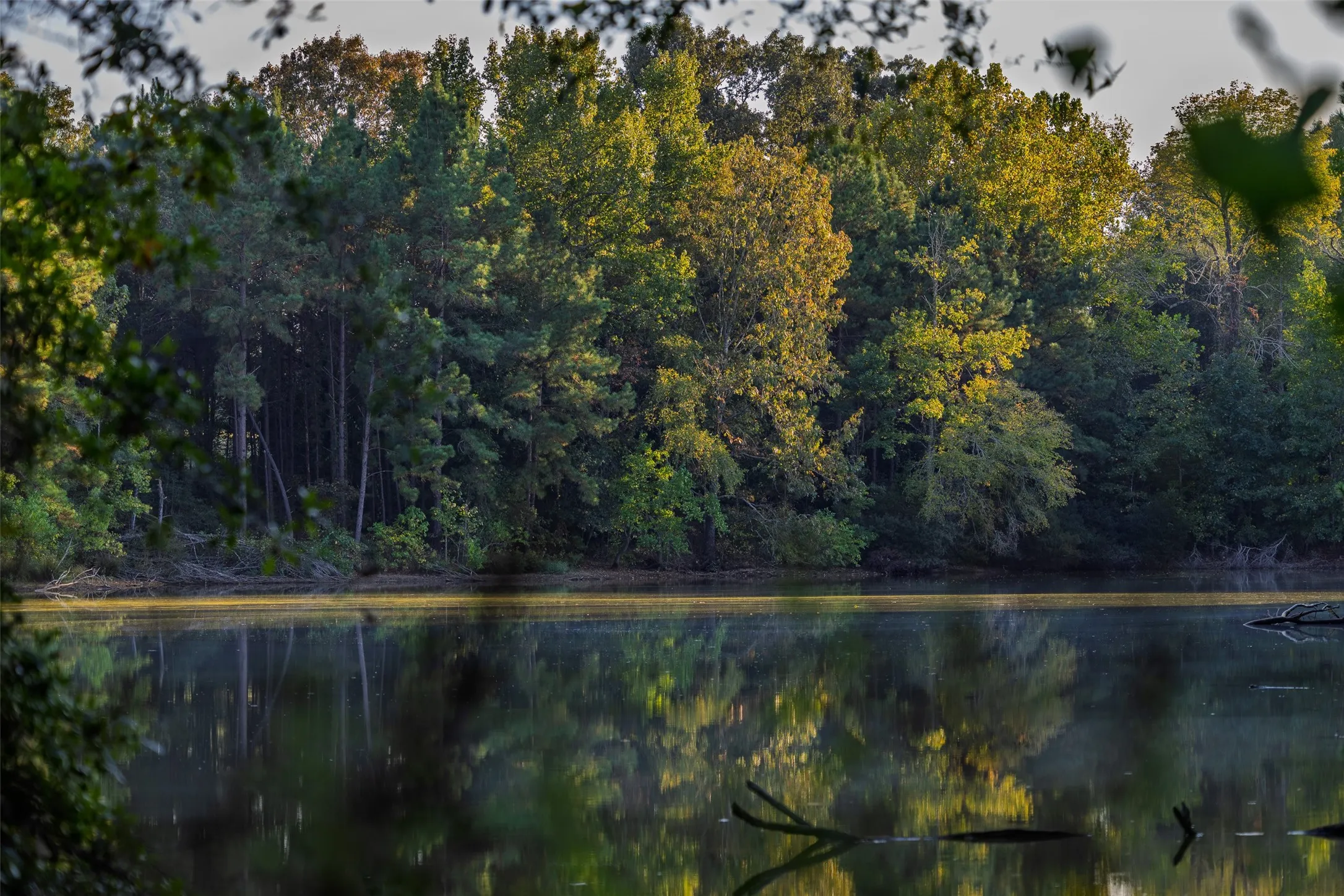 Improved Land For Sale in Shelby County , 973 County Road 2572, Center, Texas 75935, 0, 0, Garage spaces, 0 Sqft, built in 1980, mls#21087604, Real Estate Agent in Center, Homes For Sale in Shelby county, Homes For Sale in Center, Realtor in Center Texas, Real Estate Brokerage Independent Realty Texas, Luminita Cordes Realtor