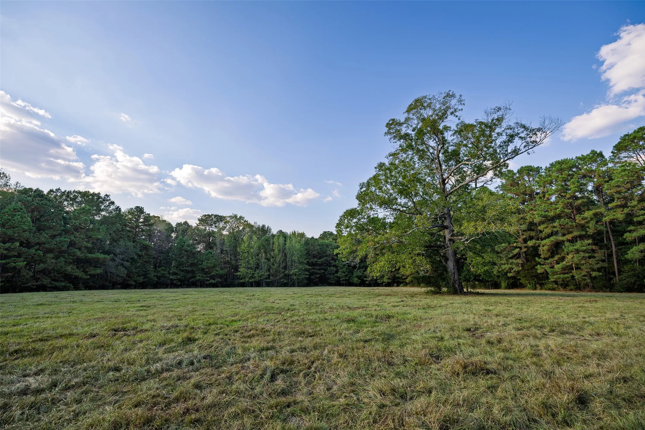 Improved Land For Sale in Shelby County , 973 County Road 2572, Center, Texas 75935, 0, 0, Garage spaces, 0 Sqft, built in 1980, mls#21087604, Real Estate Agent in Center, Homes For Sale in Shelby county, Homes For Sale in Center, Realtor in Center Texas, Real Estate Brokerage Independent Realty Texas, Luminita Cordes Realtor