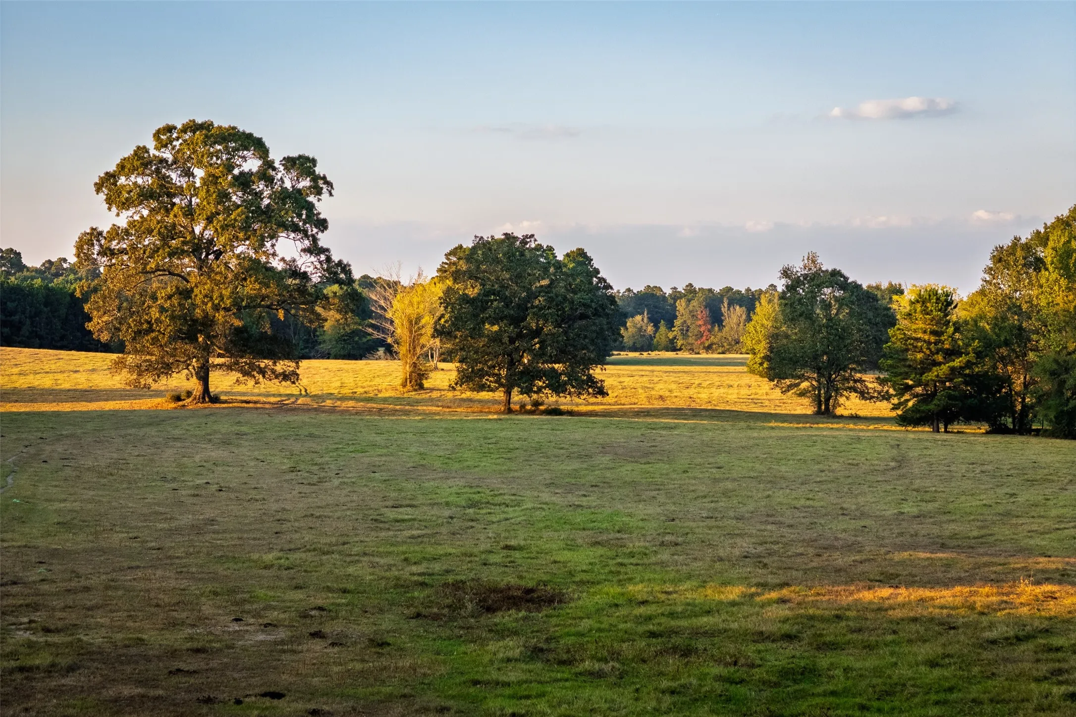 Improved Land For Sale in Shelby County , 973 County Road 2572, Center, Texas 75935, 0, 0, Garage spaces, 0 Sqft, built in 1980, mls#21087604, Real Estate Agent in Center, Homes For Sale in Shelby county, Homes For Sale in Center, Realtor in Center Texas, Real Estate Brokerage Independent Realty Texas, Luminita Cordes Realtor