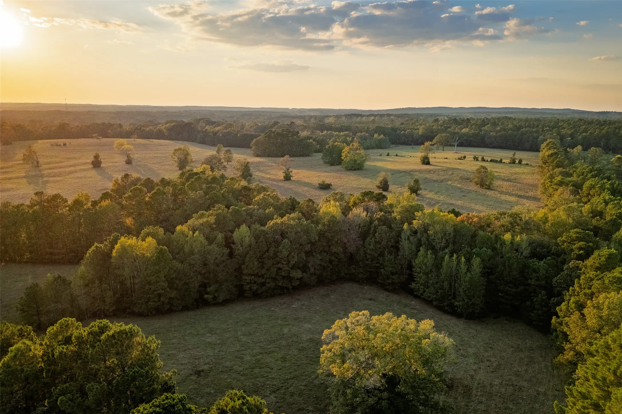 Improved Land For Sale in Shelby County , 973 County Road 2572, Center, Texas 75935, 0, 0, Garage spaces, 0 Sqft, built in 1980, mls#21087604, Real Estate Agent in Center, Homes For Sale in Shelby county, Homes For Sale in Center, Realtor in Center Texas, Real Estate Brokerage Independent Realty Texas, Luminita Cordes Realtor