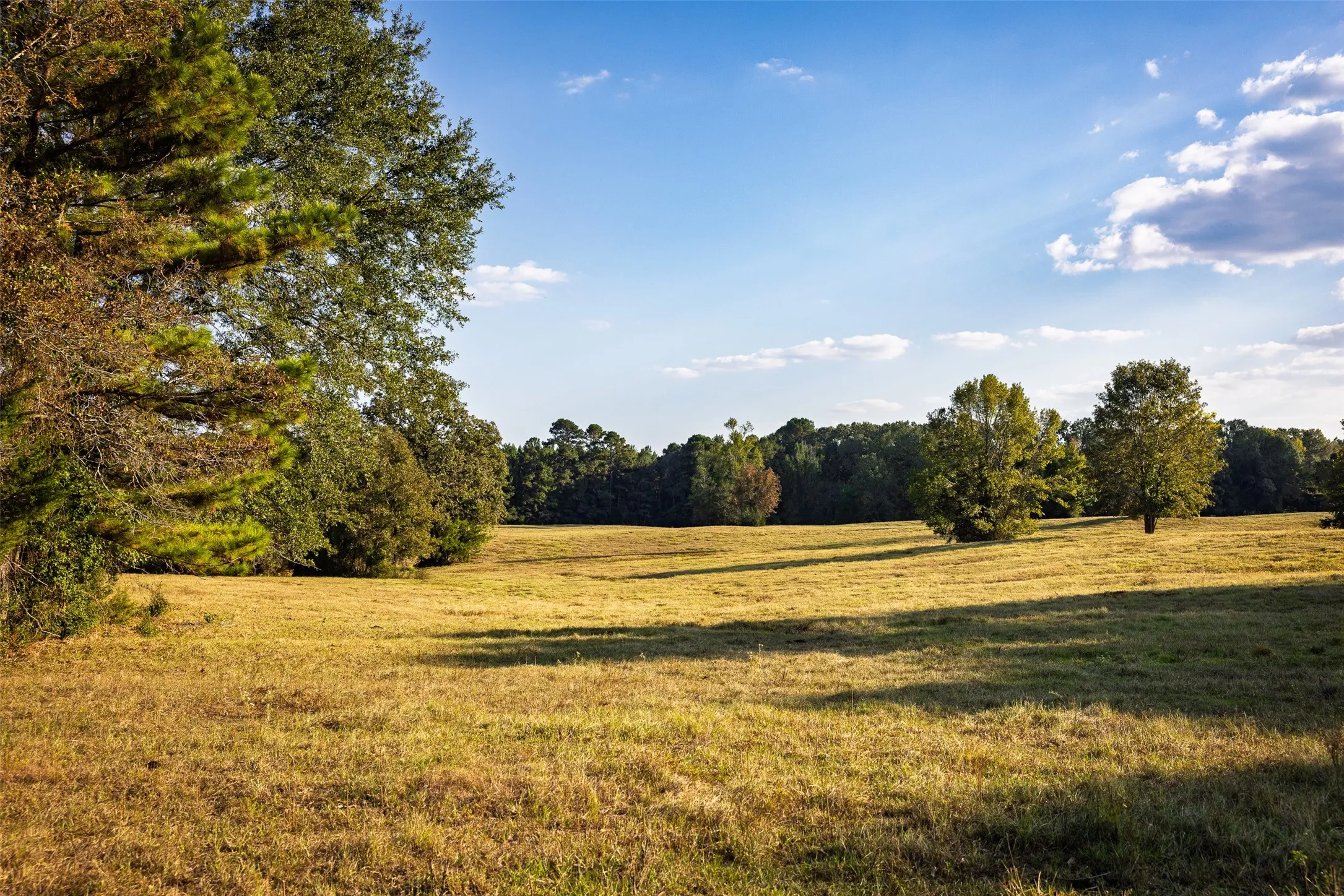 Improved Land For Sale in Shelby County , 973 County Road 2572, Center, Texas 75935, 0, 0, Garage spaces, 0 Sqft, built in 1980, mls#21087604, Real Estate Agent in Center, Homes For Sale in Shelby county, Homes For Sale in Center, Realtor in Center Texas, Real Estate Brokerage Independent Realty Texas, Luminita Cordes Realtor