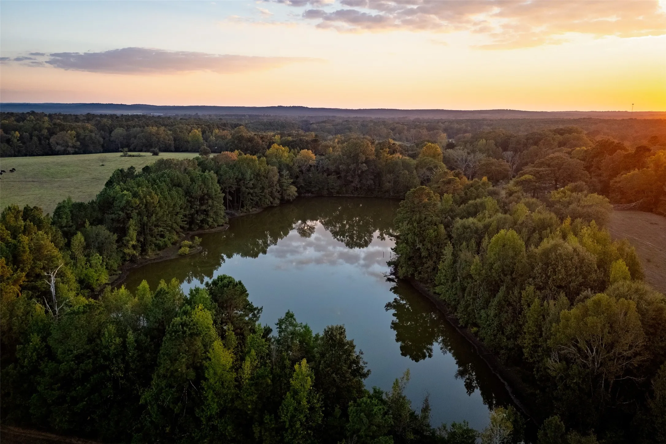 Improved Land For Sale in Shelby County , 973 County Road 2572, Center, Texas 75935, 0, 0, Garage spaces, 0 Sqft, built in 1980, mls#21087604, Real Estate Agent in Center, Homes For Sale in Shelby county, Homes For Sale in Center, Realtor in Center Texas, Real Estate Brokerage Independent Realty Texas, Luminita Cordes Realtor