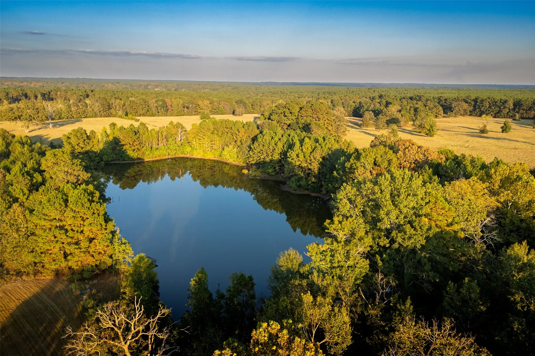 Improved Land For Sale in Shelby County , 973 County Road 2572, Center, Texas 75935, 0, 0, Garage spaces, 0 Sqft, built in 1980, mls#21087604, Real Estate Agent in Center, Homes For Sale in Shelby county, Homes For Sale in Center, Realtor in Center Texas, Real Estate Brokerage Independent Realty Texas, Luminita Cordes Realtor