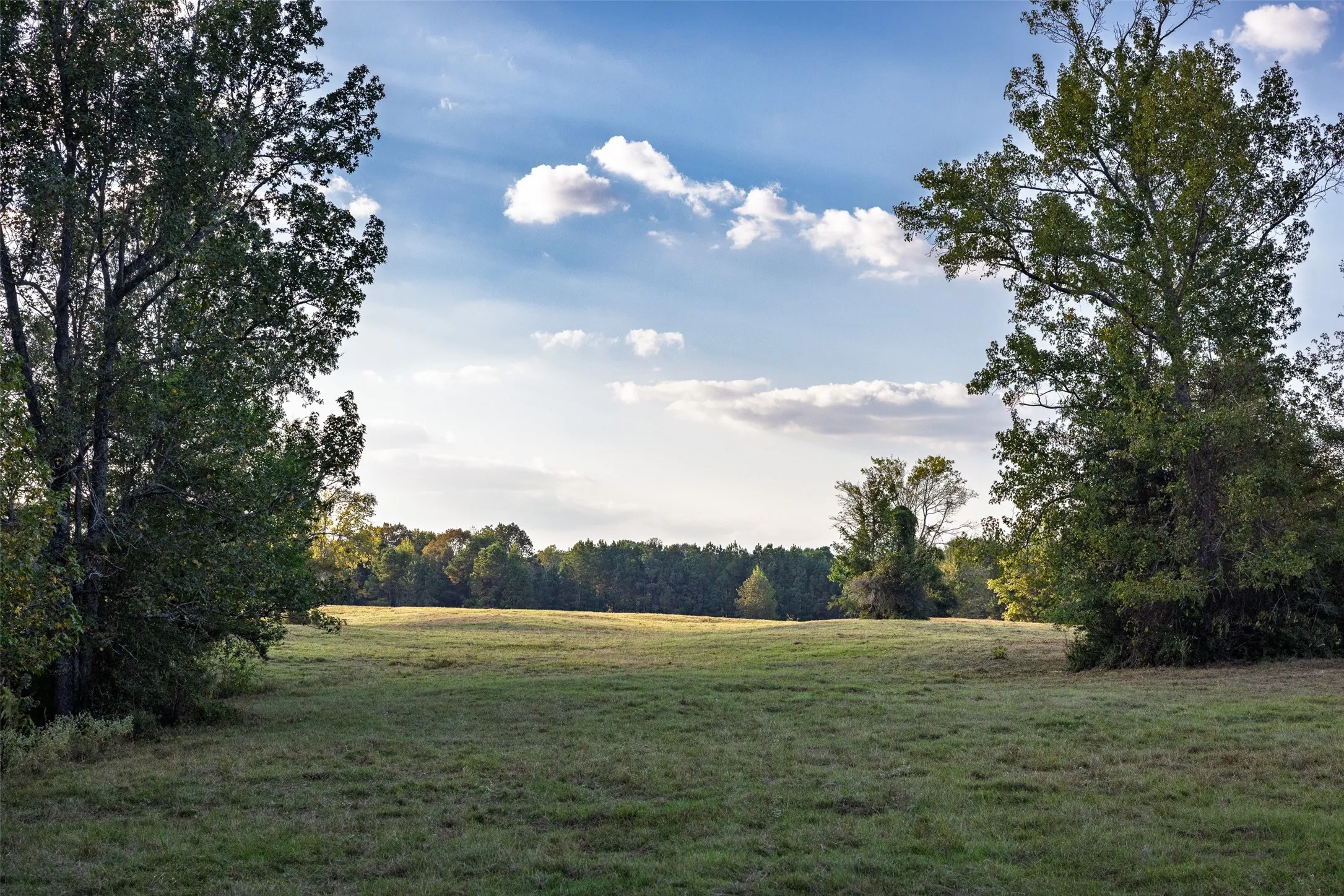 Improved Land For Sale in Shelby County , 973 County Road 2572, Center, Texas 75935, 0, 0, Garage spaces, 0 Sqft, built in 1980, mls#21087604, Real Estate Agent in Center, Homes For Sale in Shelby county, Homes For Sale in Center, Realtor in Center Texas, Real Estate Brokerage Independent Realty Texas, Luminita Cordes Realtor
