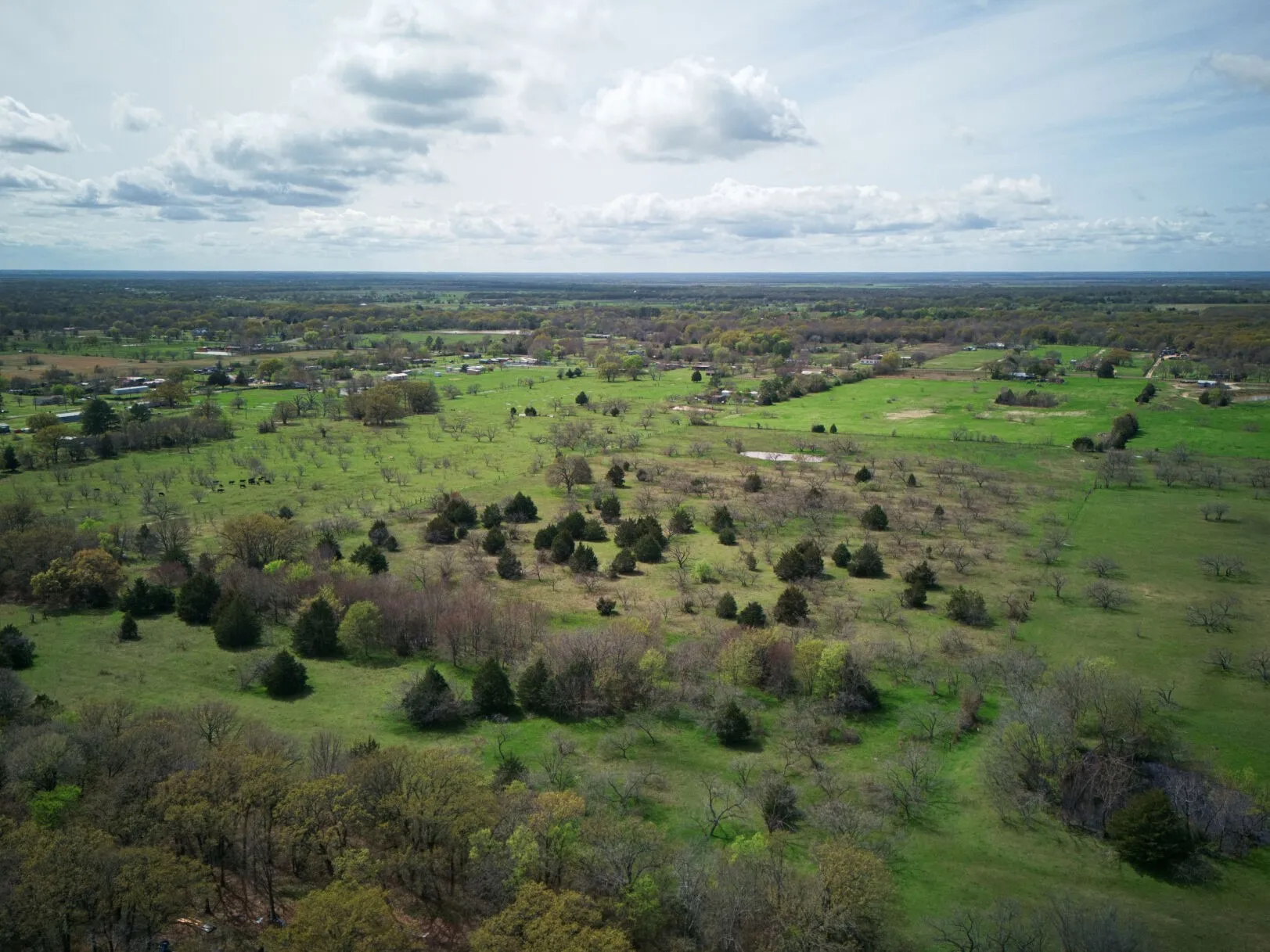 Unimproved Land For Sale in Kaufman County , 18579 CR 4061 Road, Scurry, Texas 75158, 0, 0, Garage spaces, 0 Sqft, built in 0, mls#21086021, Real Estate Agent in Scurry, Homes For Sale in Kaufman county, Homes For Sale in Scurry, Realtor in Scurry Texas, Real Estate Brokerage Independent Realty Texas, Luminita Cordes Realtor