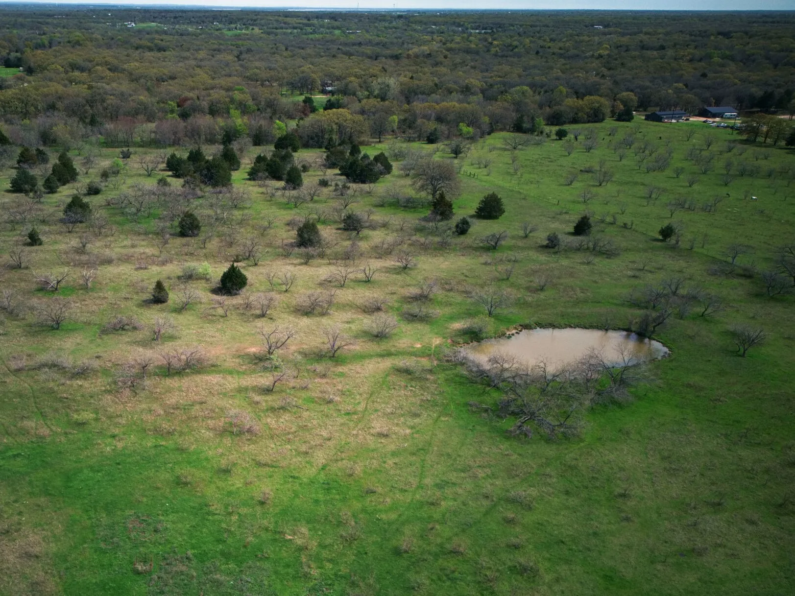 Unimproved Land For Sale in Kaufman County , 18579 CR 4061 Road, Scurry, Texas 75158, 0, 0, Garage spaces, 0 Sqft, built in 0, mls#21086021, Real Estate Agent in Scurry, Homes For Sale in Kaufman county, Homes For Sale in Scurry, Realtor in Scurry Texas, Real Estate Brokerage Independent Realty Texas, Luminita Cordes Realtor