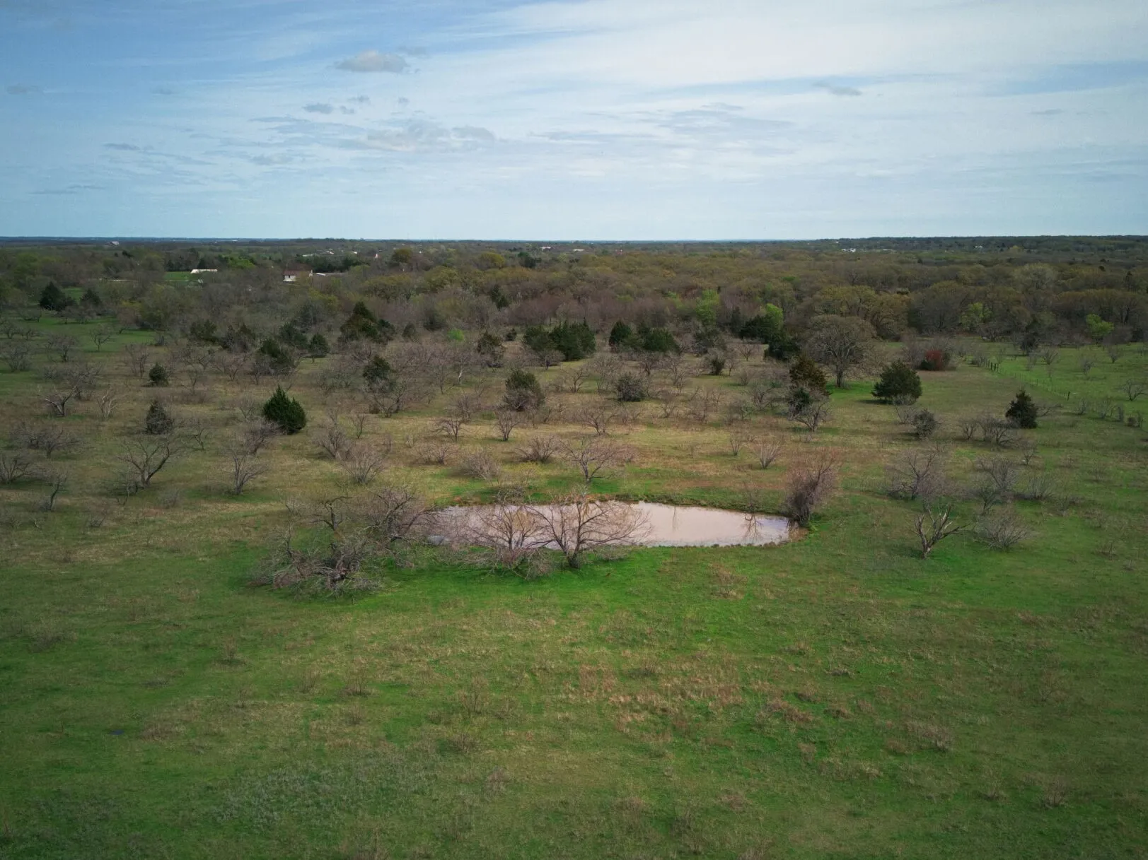 Unimproved Land For Sale in Kaufman County , 18579 CR 4061 Road, Scurry, Texas 75158, 0, 0, Garage spaces, 0 Sqft, built in 0, mls#21086021, Real Estate Agent in Scurry, Homes For Sale in Kaufman county, Homes For Sale in Scurry, Realtor in Scurry Texas, Real Estate Brokerage Independent Realty Texas, Luminita Cordes Realtor