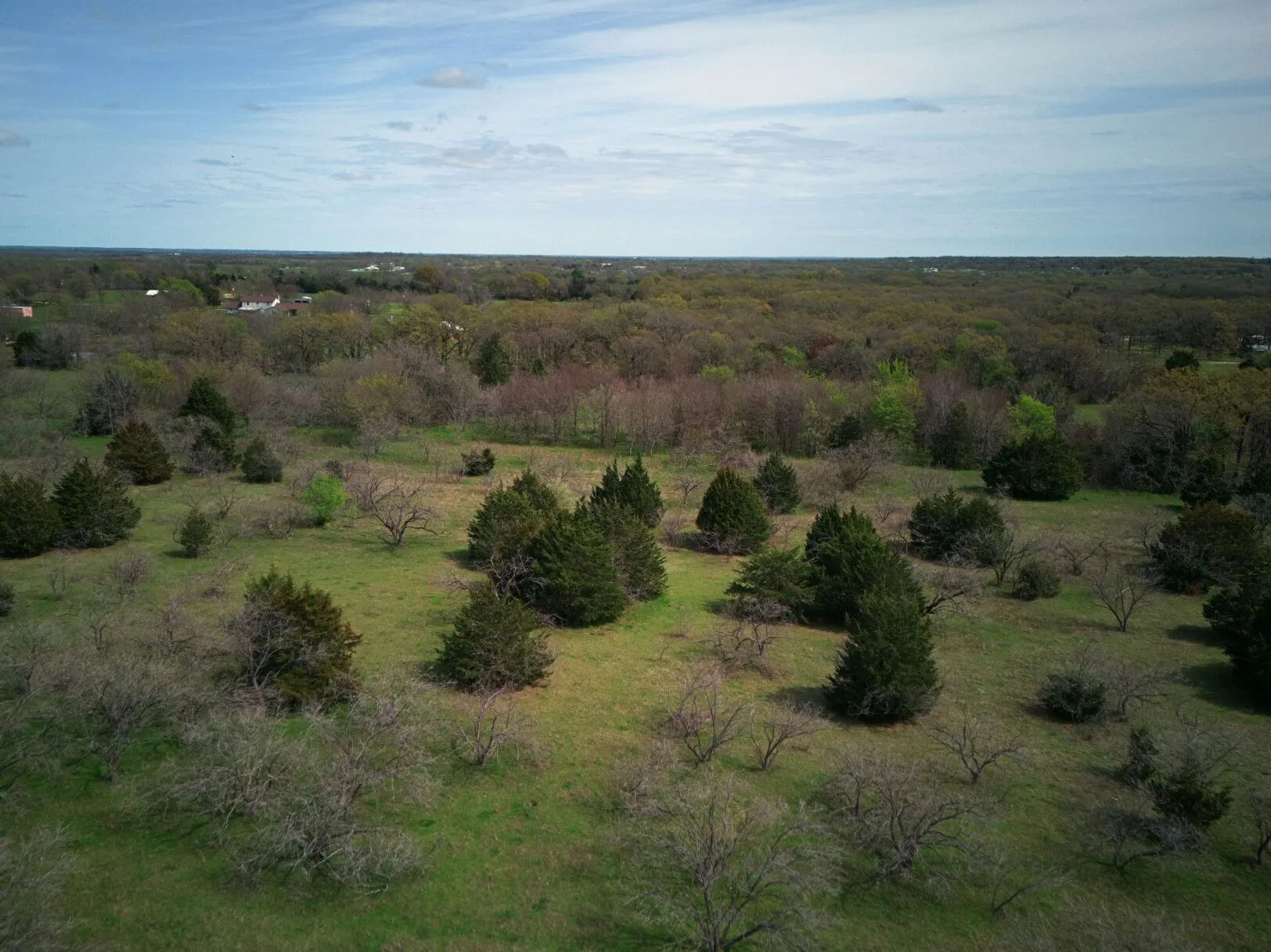 Unimproved Land For Sale in Kaufman County , 18579 CR 4061 Road, Scurry, Texas 75158, 0, 0, Garage spaces, 0 Sqft, built in 0, mls#21086021, Real Estate Agent in Scurry, Homes For Sale in Kaufman county, Homes For Sale in Scurry, Realtor in Scurry Texas, Real Estate Brokerage Independent Realty Texas, Luminita Cordes Realtor