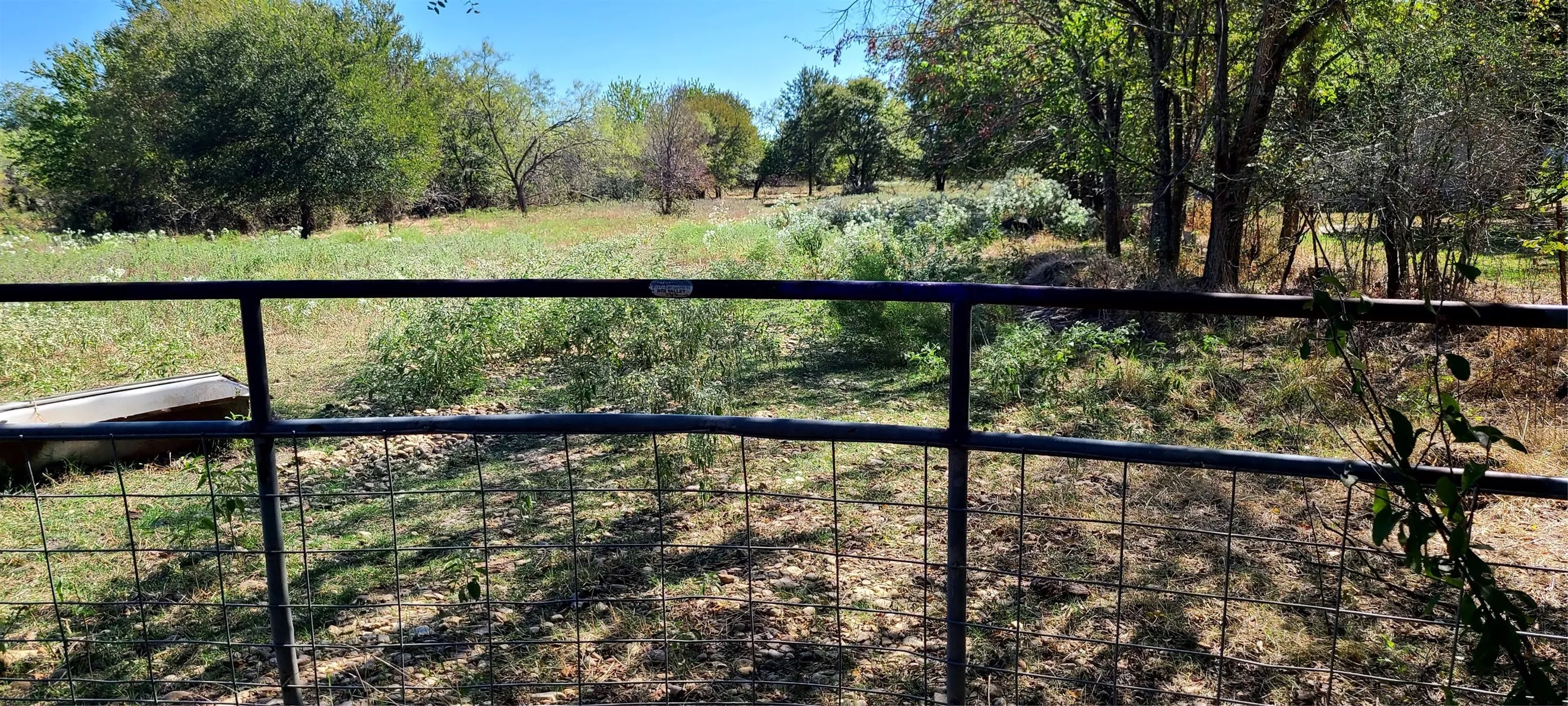 Unimproved Land For Sale in Kaufman County , 18579 CR 4061 Road, Scurry, Texas 75158, 0, 0, Garage spaces, 0 Sqft, built in 0, mls#21086021, Real Estate Agent in Scurry, Homes For Sale in Kaufman county, Homes For Sale in Scurry, Realtor in Scurry Texas, Real Estate Brokerage Independent Realty Texas, Luminita Cordes Realtor