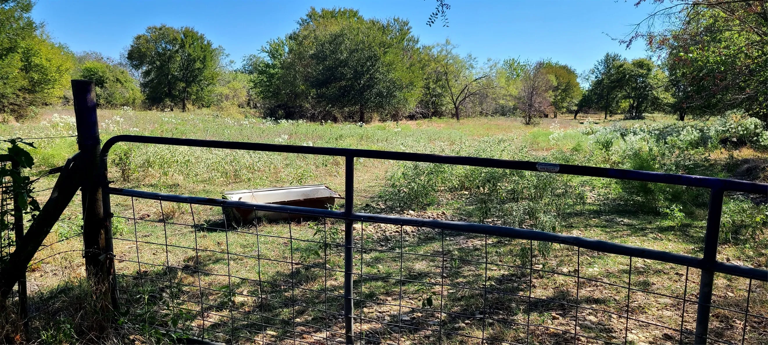Unimproved Land For Sale in Kaufman County , 18579 CR 4061 Road, Scurry, Texas 75158, 0, 0, Garage spaces, 0 Sqft, built in 0, mls#21086021, Real Estate Agent in Scurry, Homes For Sale in Kaufman county, Homes For Sale in Scurry, Realtor in Scurry Texas, Real Estate Brokerage Independent Realty Texas, Luminita Cordes Realtor