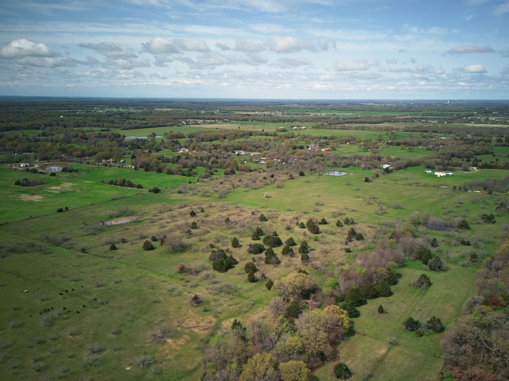 Unimproved Land For Sale in Kaufman County , 18579 CR 4061 Road, Scurry, Texas 75158, 0, 0, Garage spaces, 0 Sqft, built in 0, mls#21086021, Real Estate Agent in Scurry, Homes For Sale in Kaufman county, Homes For Sale in Scurry, Realtor in Scurry Texas, Real Estate Brokerage Independent Realty Texas, Luminita Cordes Realtor