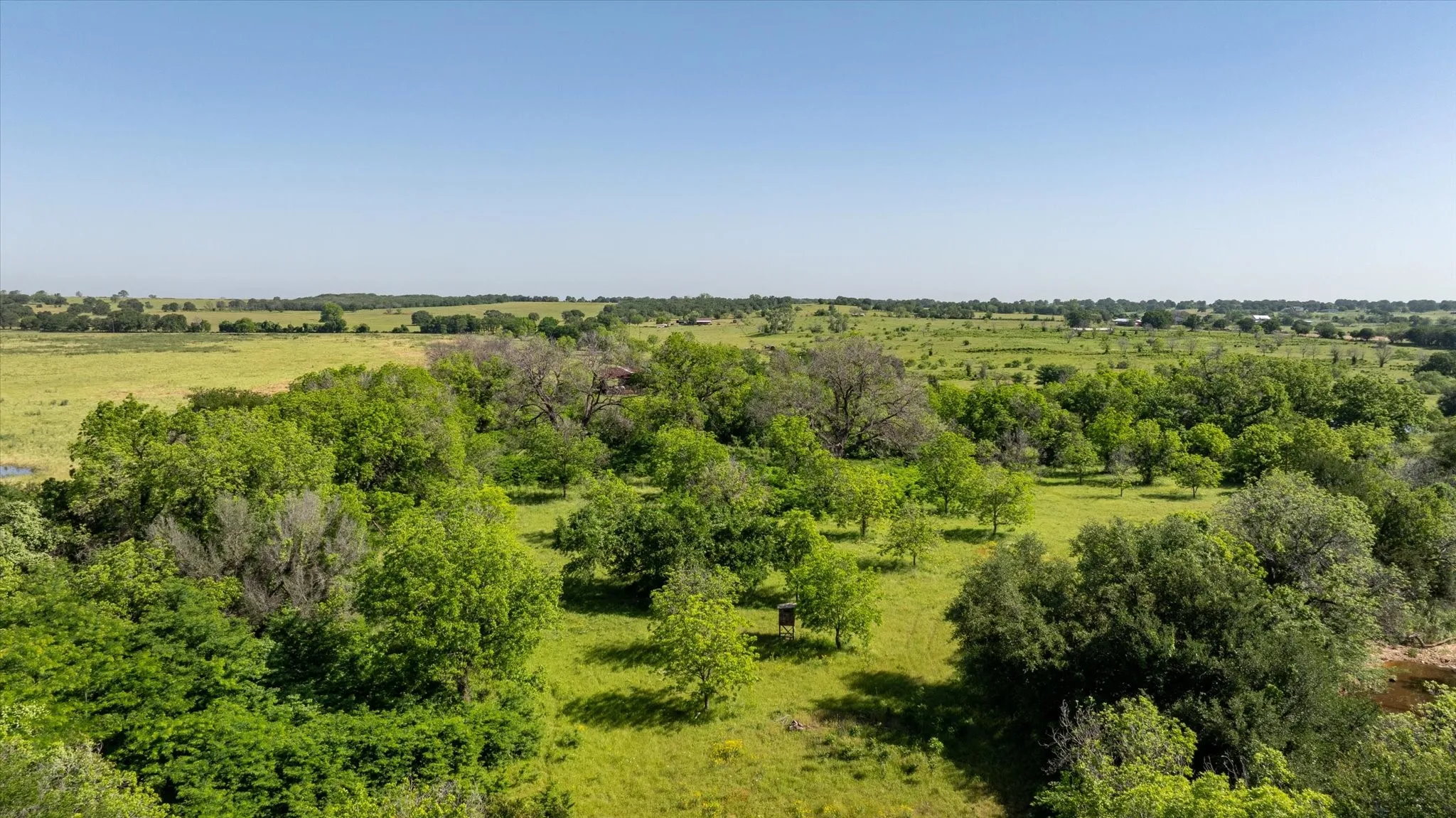 Great hunting at the South area of the property near Kickapoo Creek.