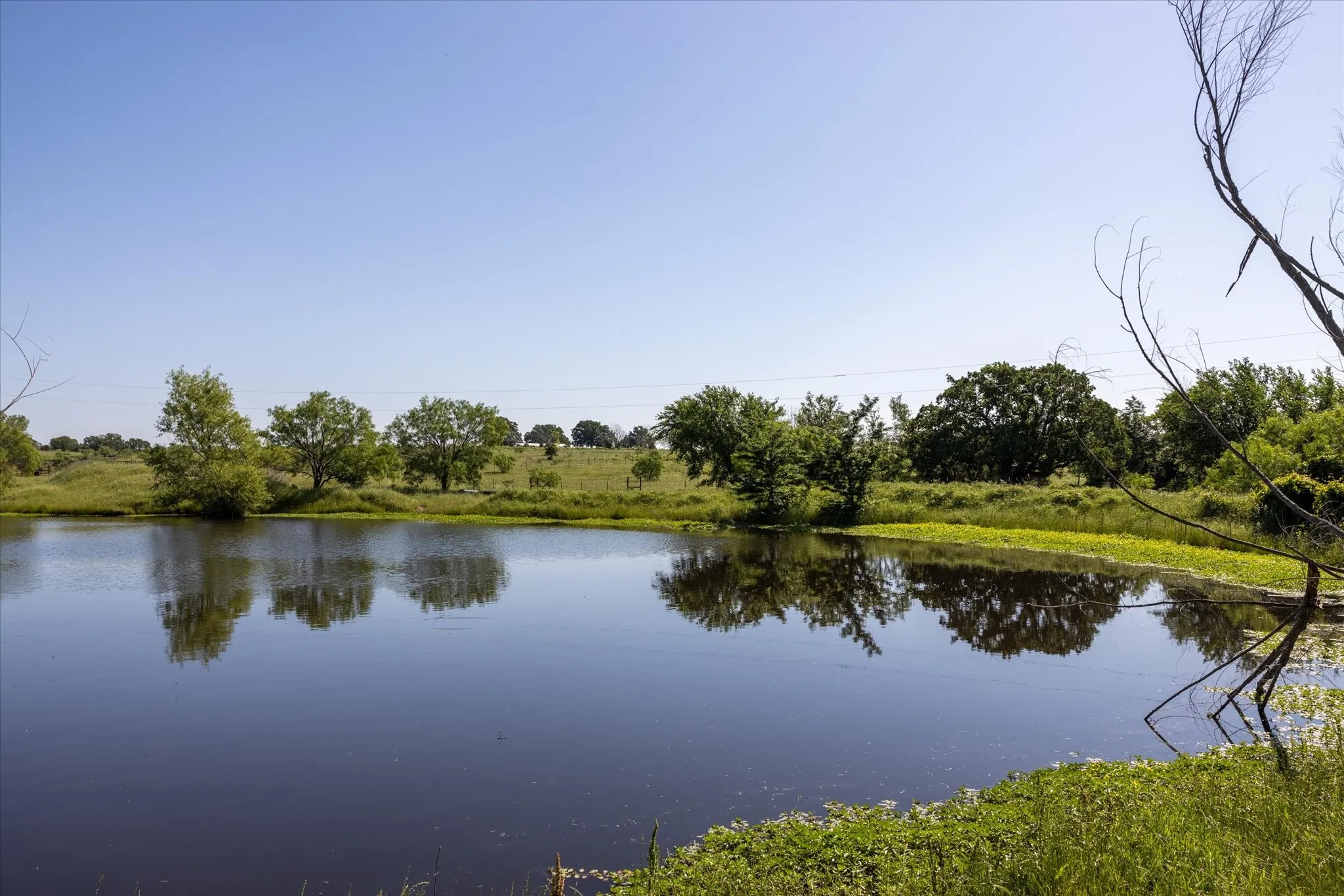 Another angle of the largest pond