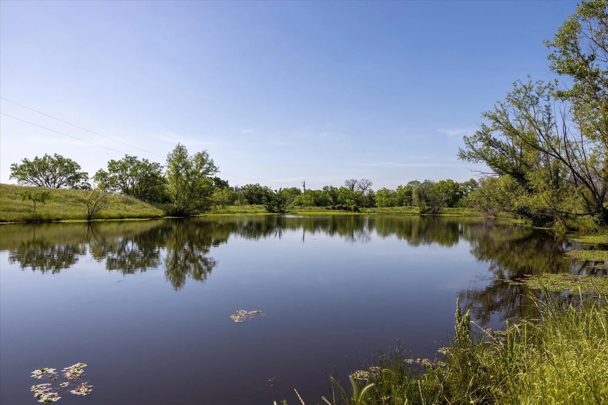 View of the largest of the 3 ponds on the property