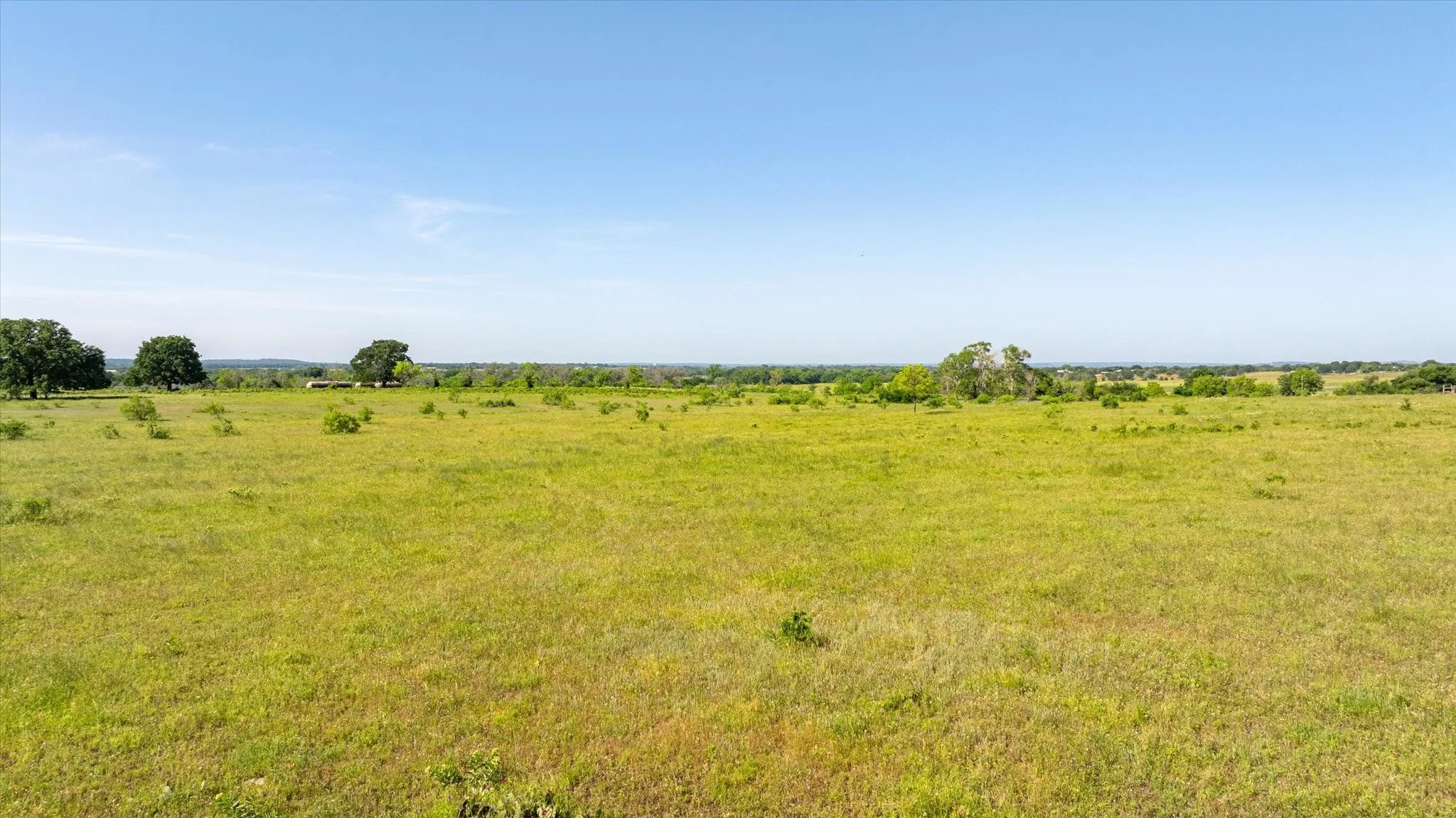 More pasture