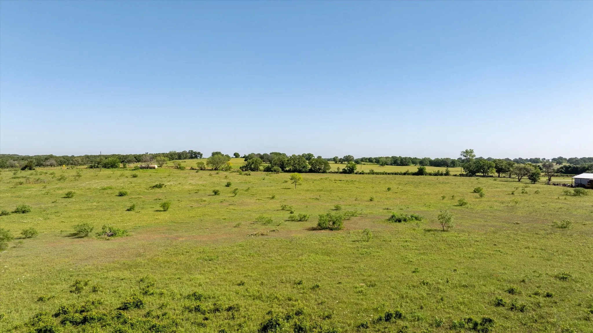 Great pasture for cattle grazing