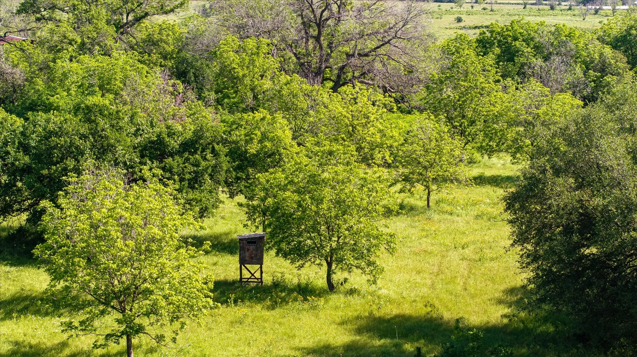 Great hunting at the South area of the property near Kickapoo Creek.