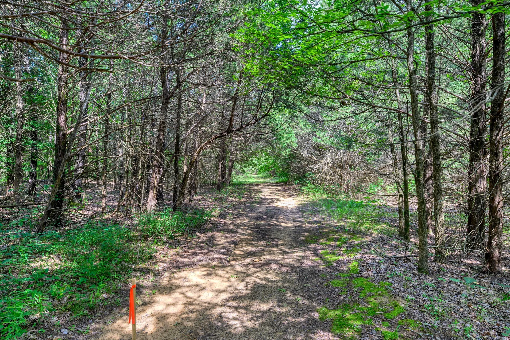 Unimproved Land For Sale in Grayson County , TBD Cross Timber Estates Drive, Denison, Texas 75021, 0, 0, Garage spaces, 0 Sqft, built in 0, mls#21087136, Real Estate Agent in Denison, Homes For Sale in Grayson county, Homes For Sale in Denison, Realtor in Denison Texas, Real Estate Brokerage Independent Realty Texas, Luminita Cordes Realtor