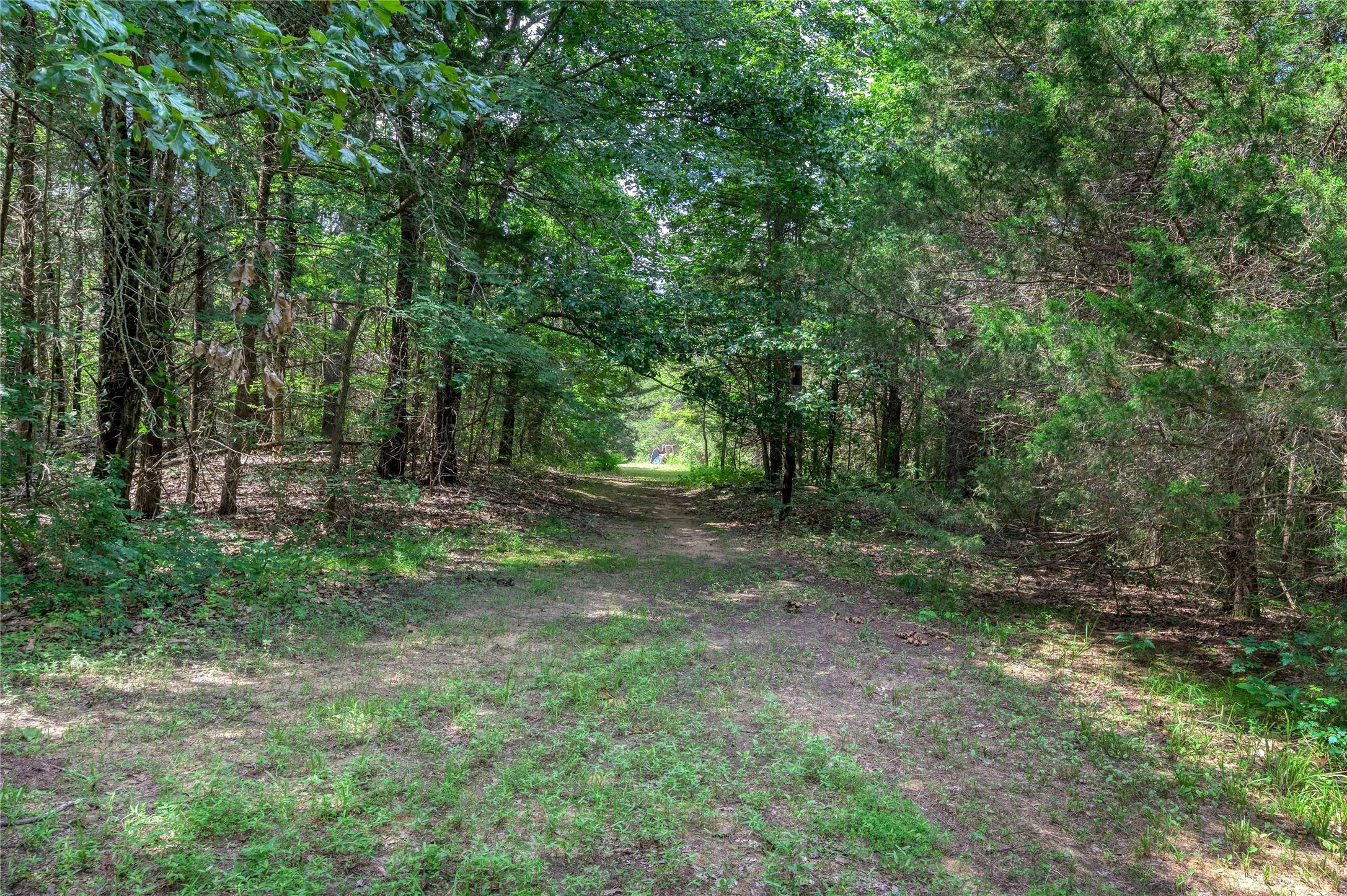 Unimproved Land For Sale in Grayson County , TBD Cross Timber Estates Drive, Denison, Texas 75021, 0, 0, Garage spaces, 0 Sqft, built in 0, mls#21087136, Real Estate Agent in Denison, Homes For Sale in Grayson county, Homes For Sale in Denison, Realtor in Denison Texas, Real Estate Brokerage Independent Realty Texas, Luminita Cordes Realtor