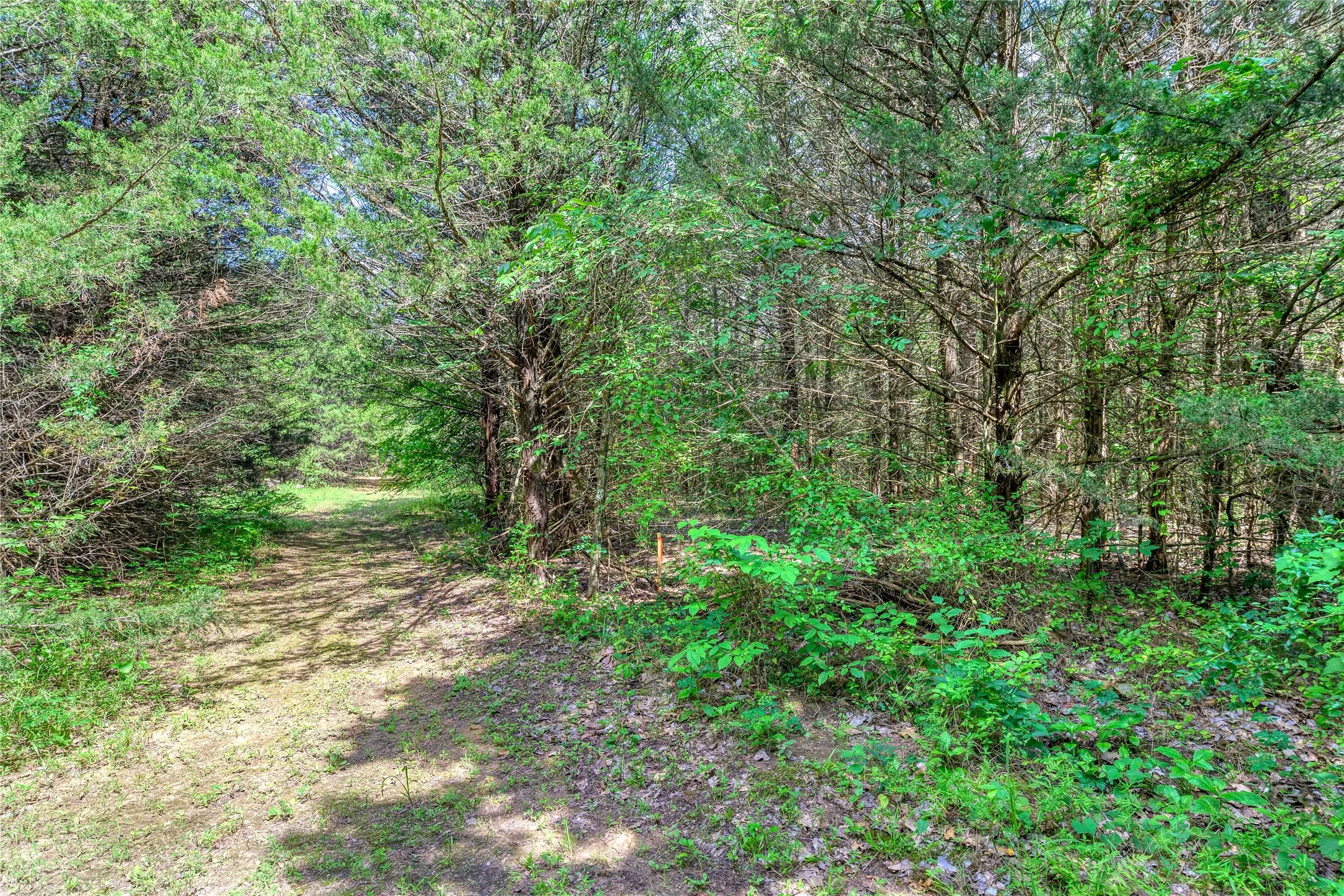 Unimproved Land For Sale in Grayson County , TBD Cross Timber Estates Drive, Denison, Texas 75021, 0, 0, Garage spaces, 0 Sqft, built in 0, mls#21087136, Real Estate Agent in Denison, Homes For Sale in Grayson county, Homes For Sale in Denison, Realtor in Denison Texas, Real Estate Brokerage Independent Realty Texas, Luminita Cordes Realtor