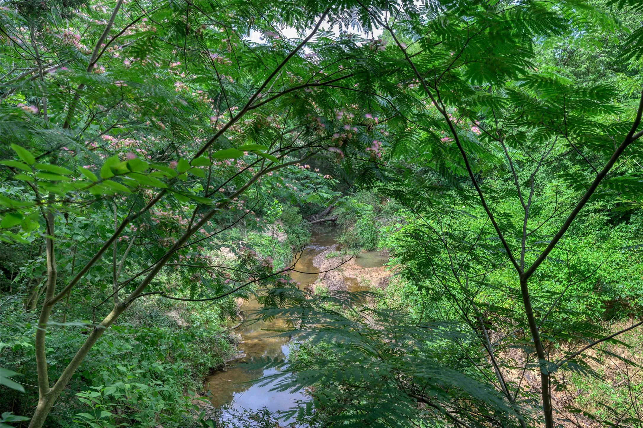 Unimproved Land For Sale in Grayson County , TBD Cross Timber Estates Drive, Denison, Texas 75021, 0, 0, Garage spaces, 0 Sqft, built in 0, mls#21087136, Real Estate Agent in Denison, Homes For Sale in Grayson county, Homes For Sale in Denison, Realtor in Denison Texas, Real Estate Brokerage Independent Realty Texas, Luminita Cordes Realtor