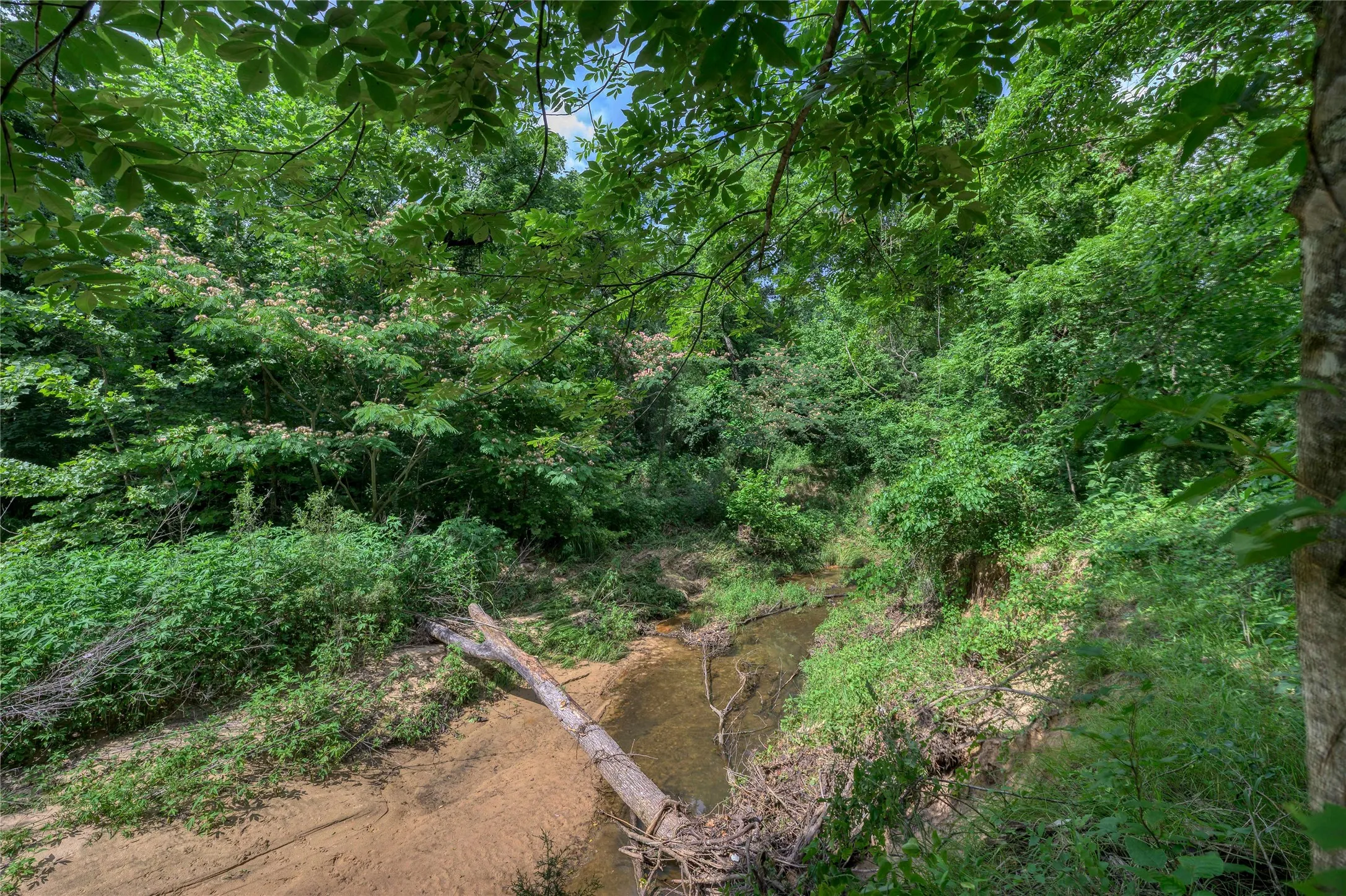 Unimproved Land For Sale in Grayson County , TBD Cross Timber Estates Drive, Denison, Texas 75021, 0, 0, Garage spaces, 0 Sqft, built in 0, mls#21087136, Real Estate Agent in Denison, Homes For Sale in Grayson county, Homes For Sale in Denison, Realtor in Denison Texas, Real Estate Brokerage Independent Realty Texas, Luminita Cordes Realtor