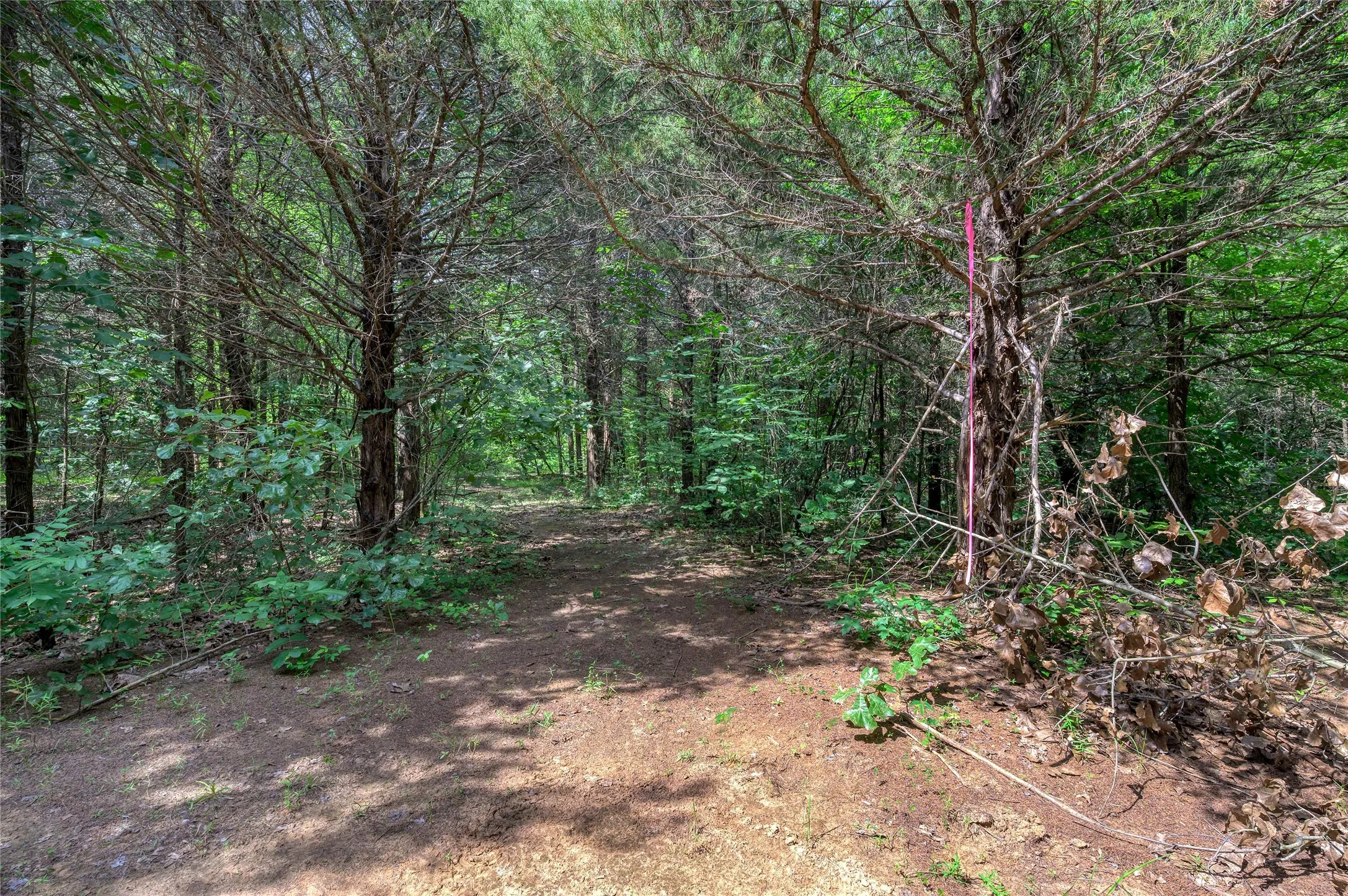 Unimproved Land For Sale in Grayson County , TBD Cross Timber Estates Drive, Denison, Texas 75021, 0, 0, Garage spaces, 0 Sqft, built in 0, mls#21087136, Real Estate Agent in Denison, Homes For Sale in Grayson county, Homes For Sale in Denison, Realtor in Denison Texas, Real Estate Brokerage Independent Realty Texas, Luminita Cordes Realtor