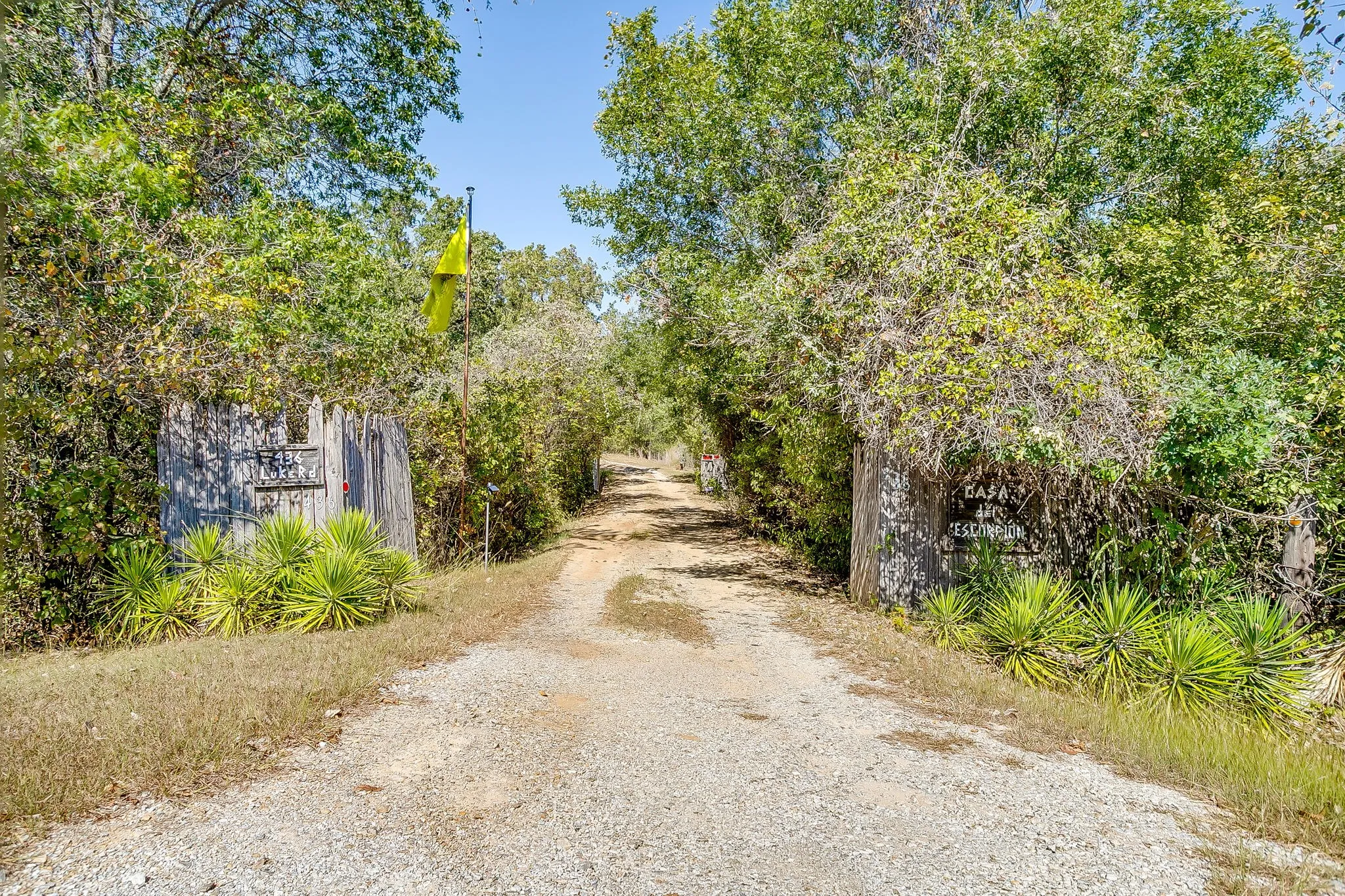View of dirt / gravel road