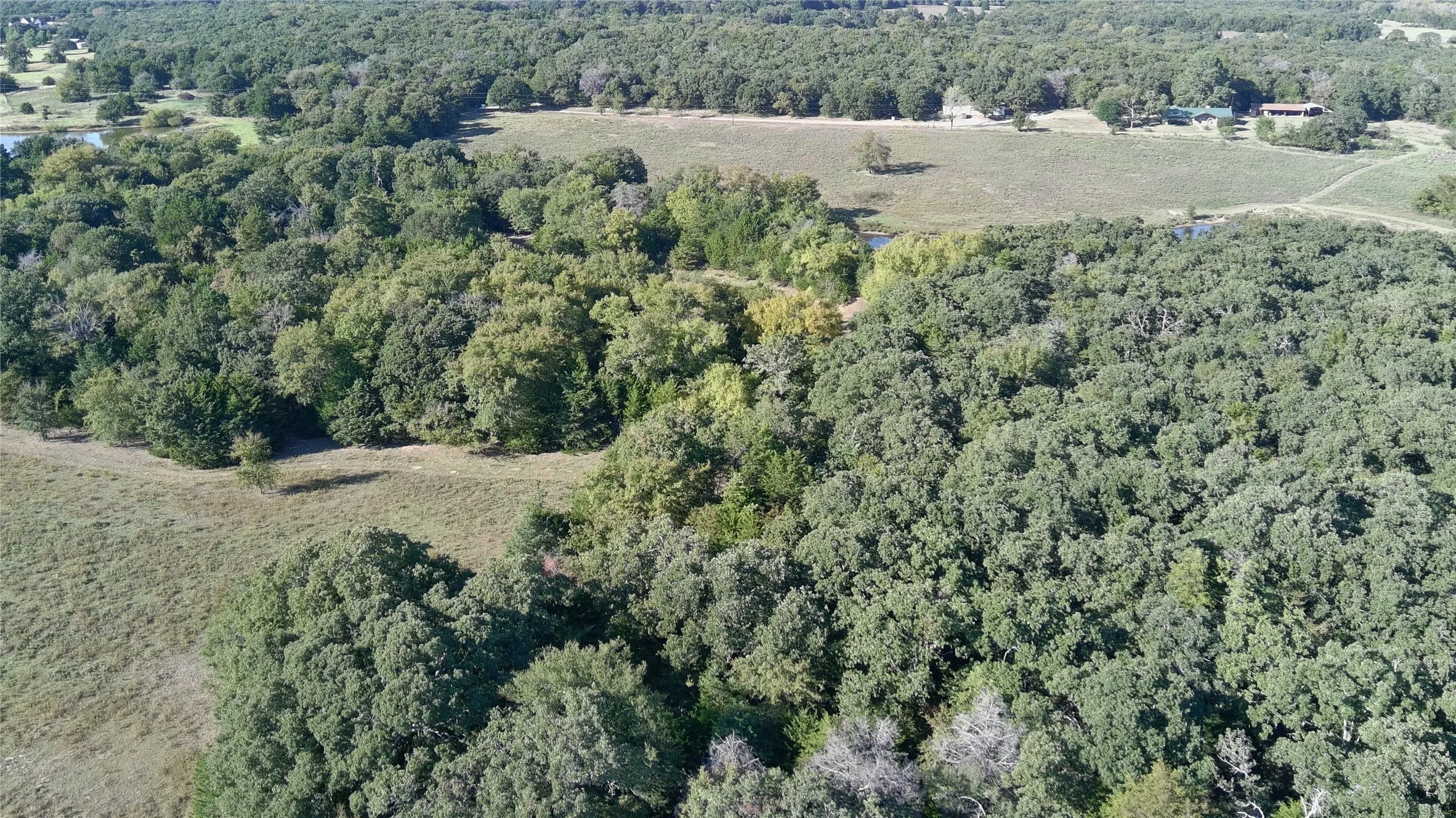 Unimproved Land For Sale in Cooke County , 9190 E Fm 922, Valley View, Texas 76272, 0, 0, Garage spaces, 0 Sqft, built in 0, mls#21081891, Real Estate Agent in Valley View, Homes For Sale in Cooke county, Homes For Sale in Valley View, Realtor in Valley View Texas, Real Estate Brokerage Independent Realty Texas, Luminita Cordes Realtor