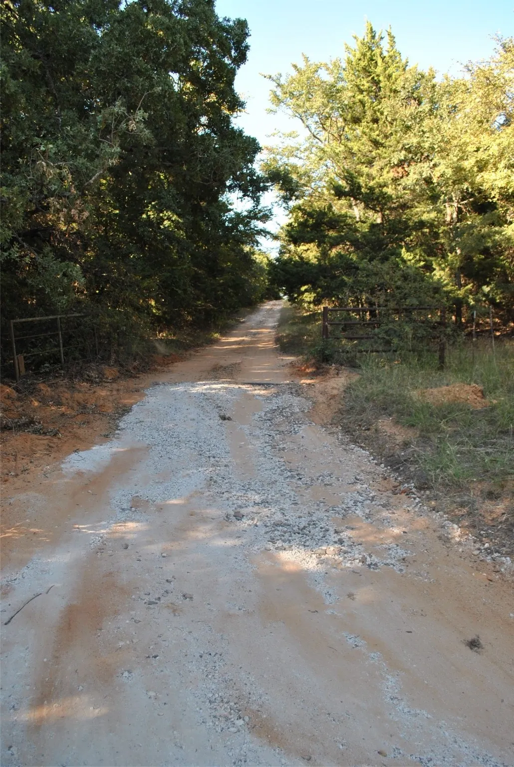 Unimproved Land For Sale in Cooke County , 9190 E Fm 922, Valley View, Texas 76272, 0, 0, Garage spaces, 0 Sqft, built in 0, mls#21081891, Real Estate Agent in Valley View, Homes For Sale in Cooke county, Homes For Sale in Valley View, Realtor in Valley View Texas, Real Estate Brokerage Independent Realty Texas, Luminita Cordes Realtor
