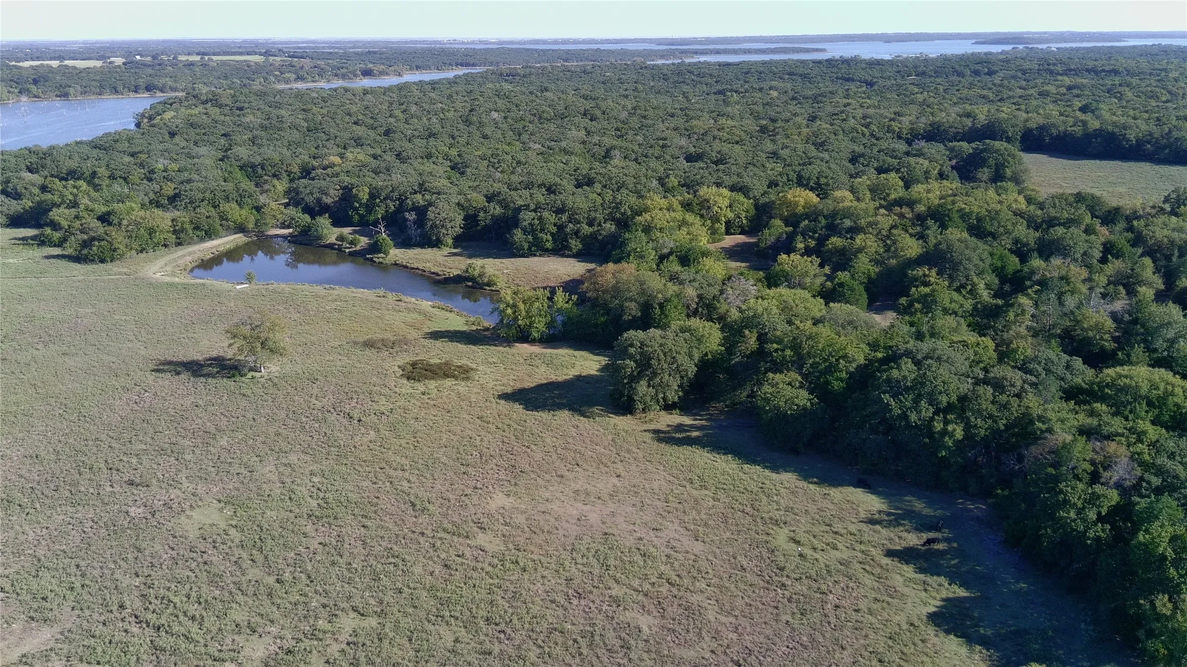 North Pasture and large pond