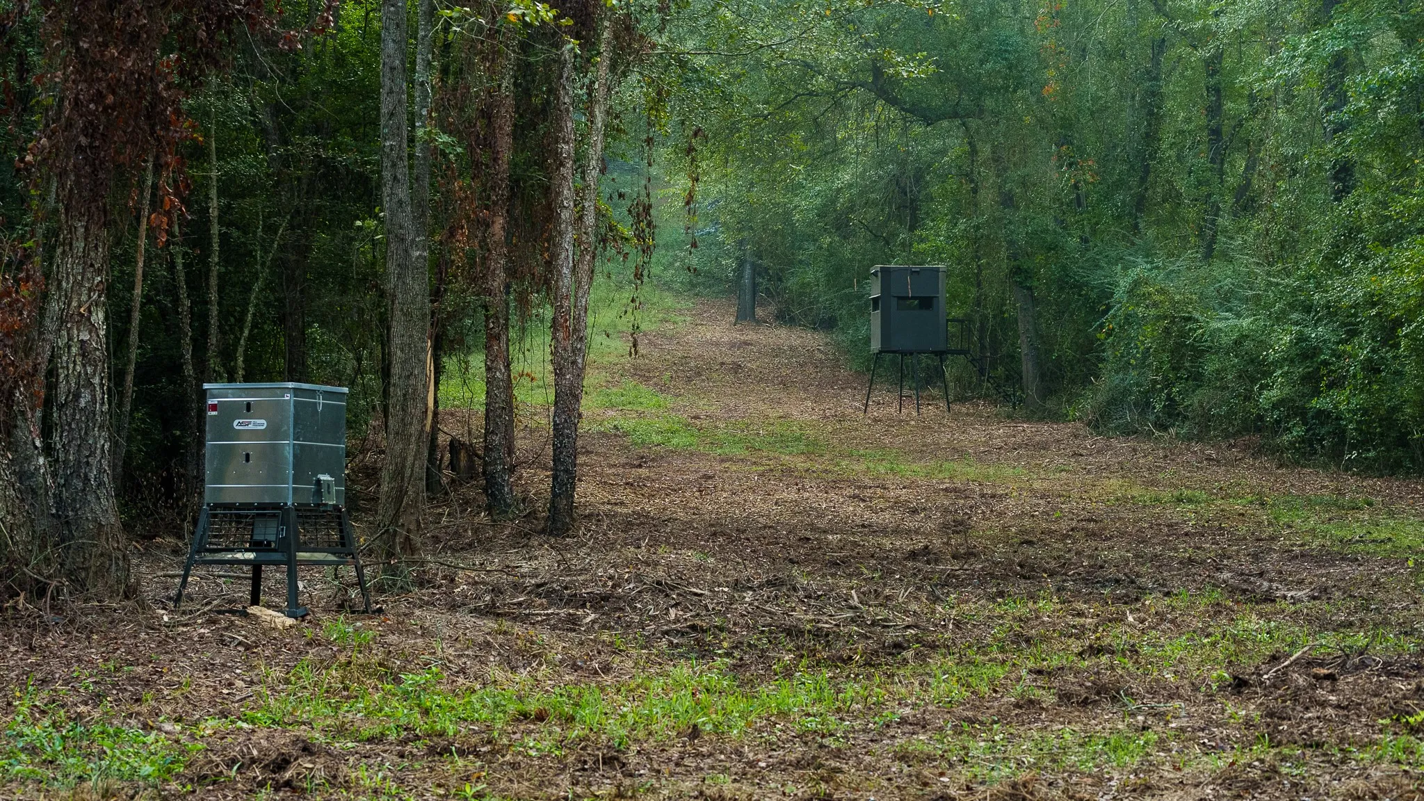 View of wildlife feed and stand in wildlife travel corridor