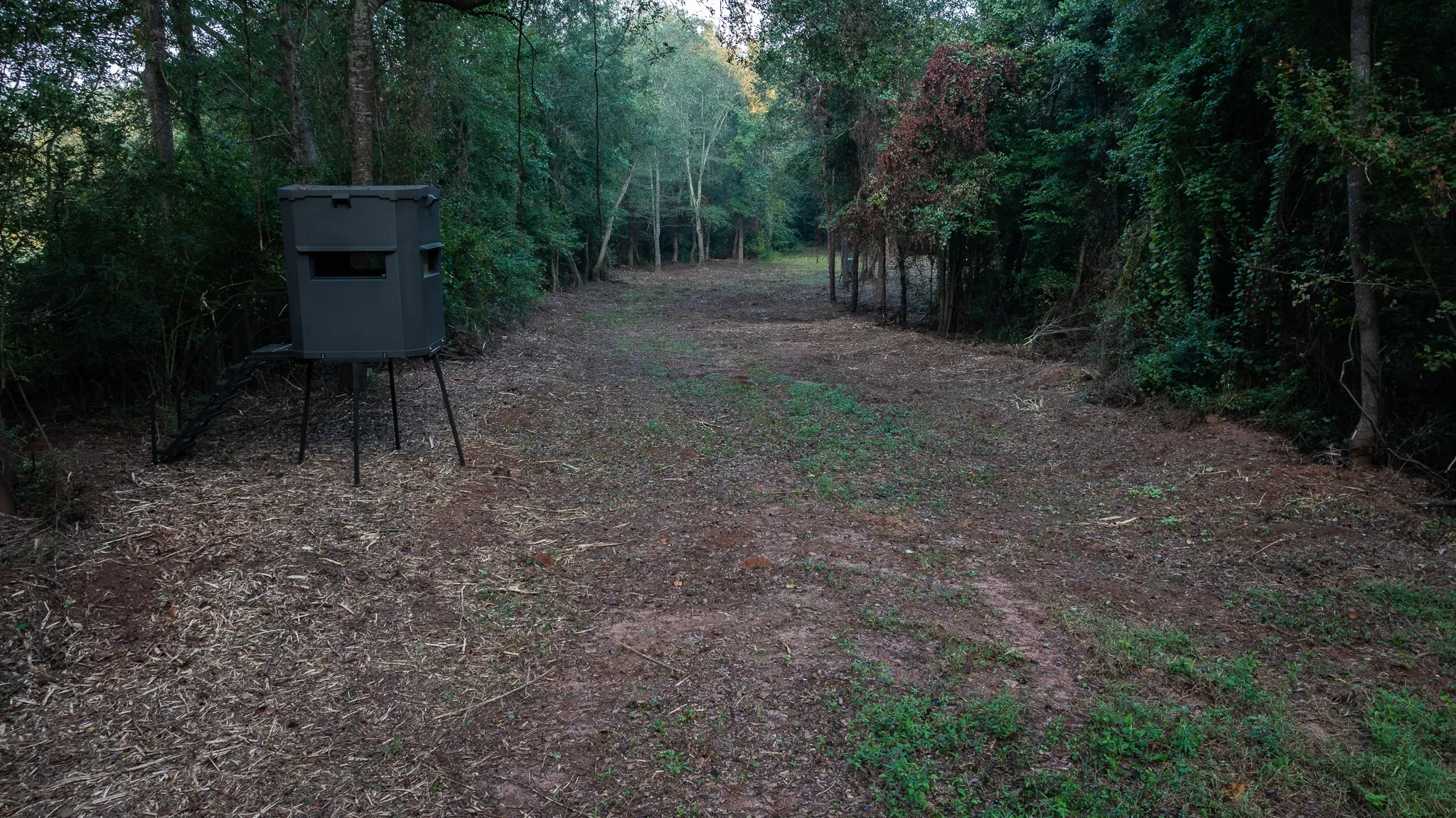 View of wildlife corridor featuring a forest view