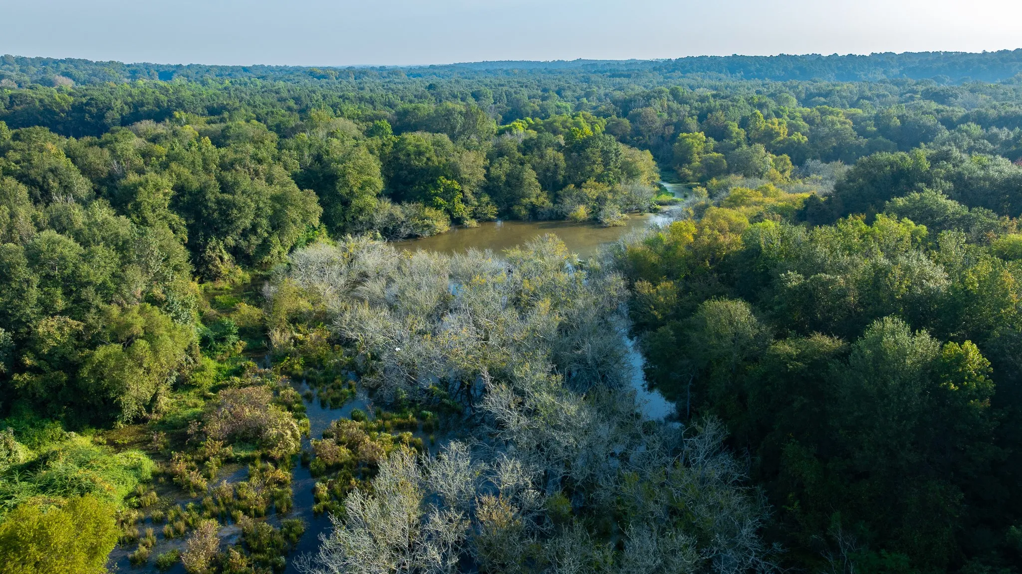 View of property location with a large body of water and a heavily wooded area