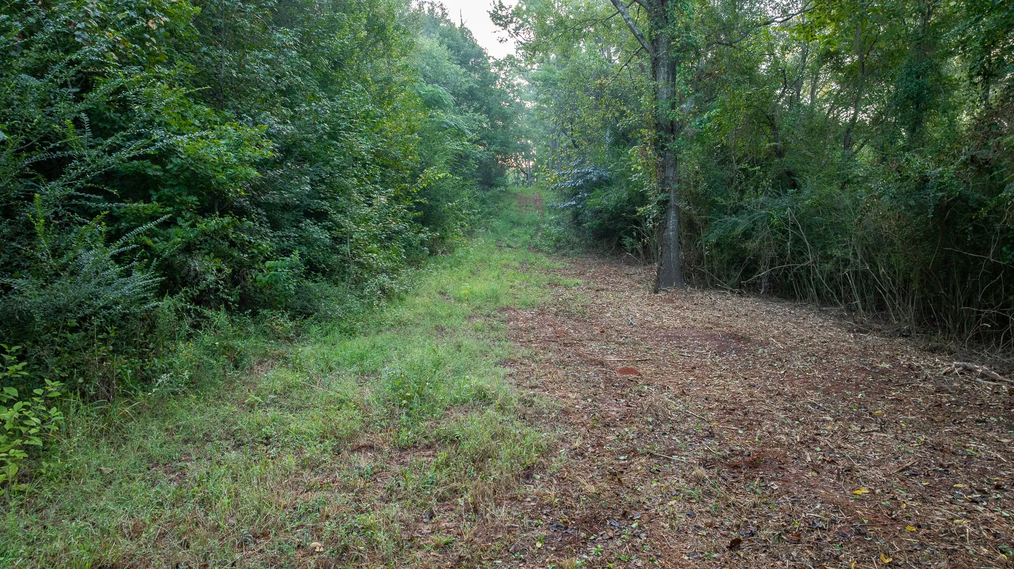 View of undeveloped land
