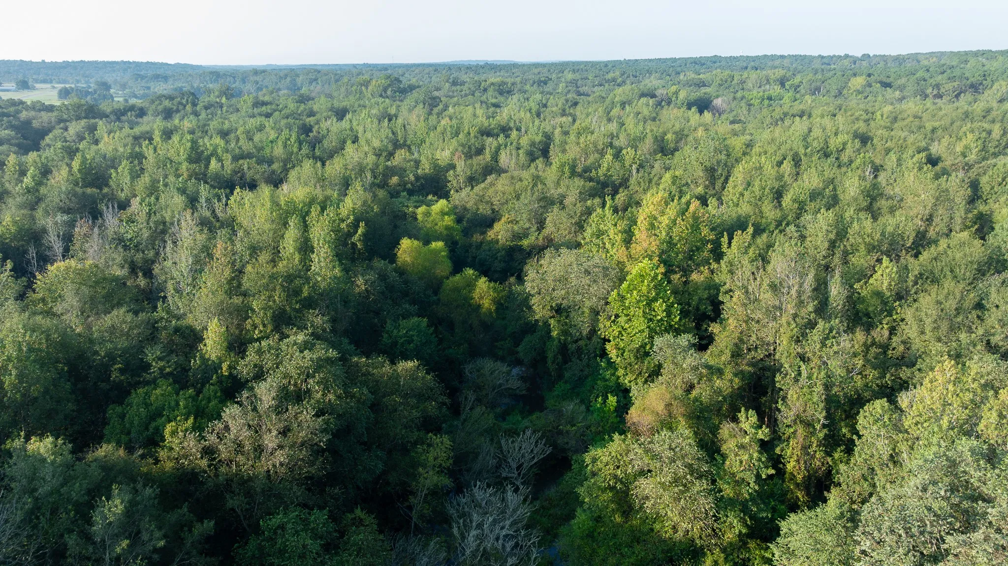Aerial view of property and surrounding area with a forest