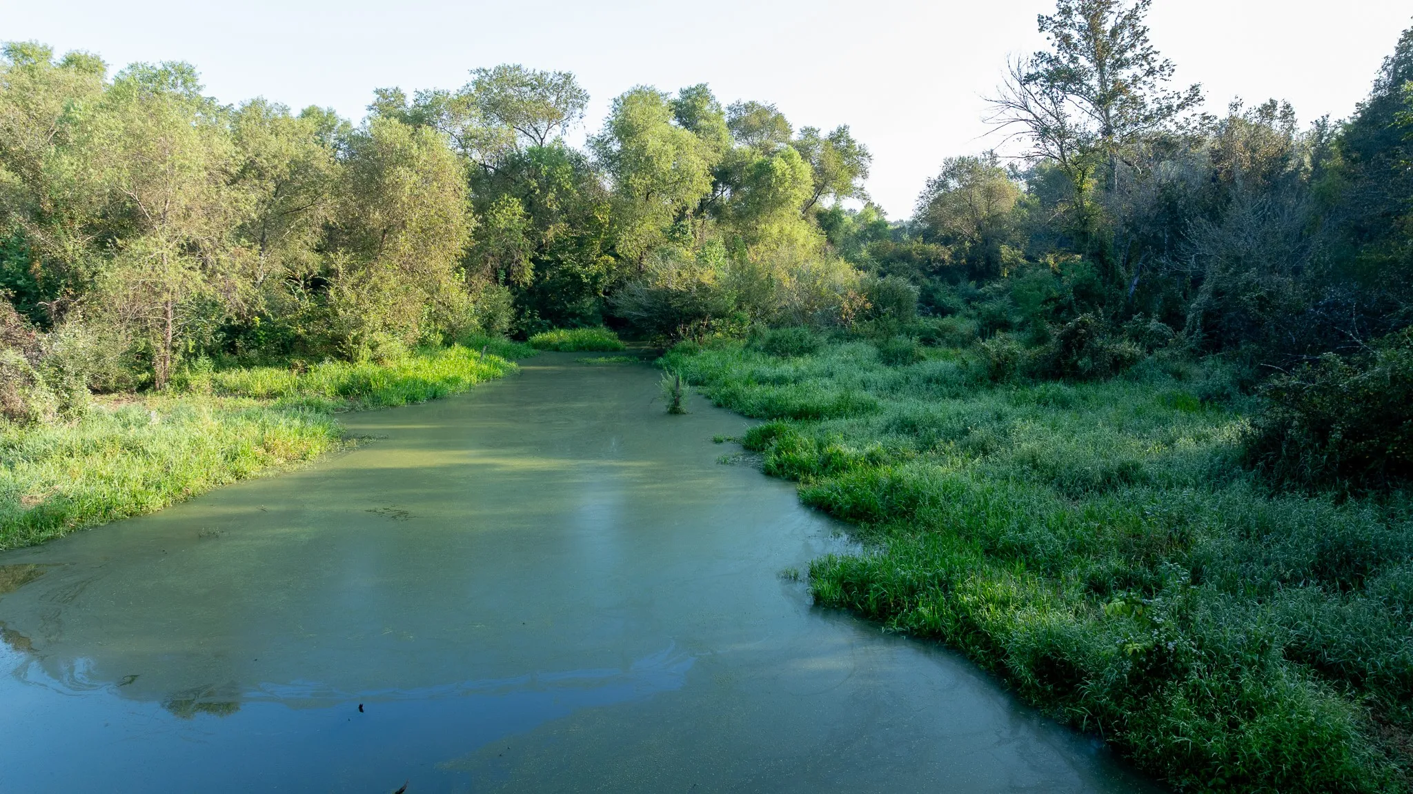 Water view for duck hunting