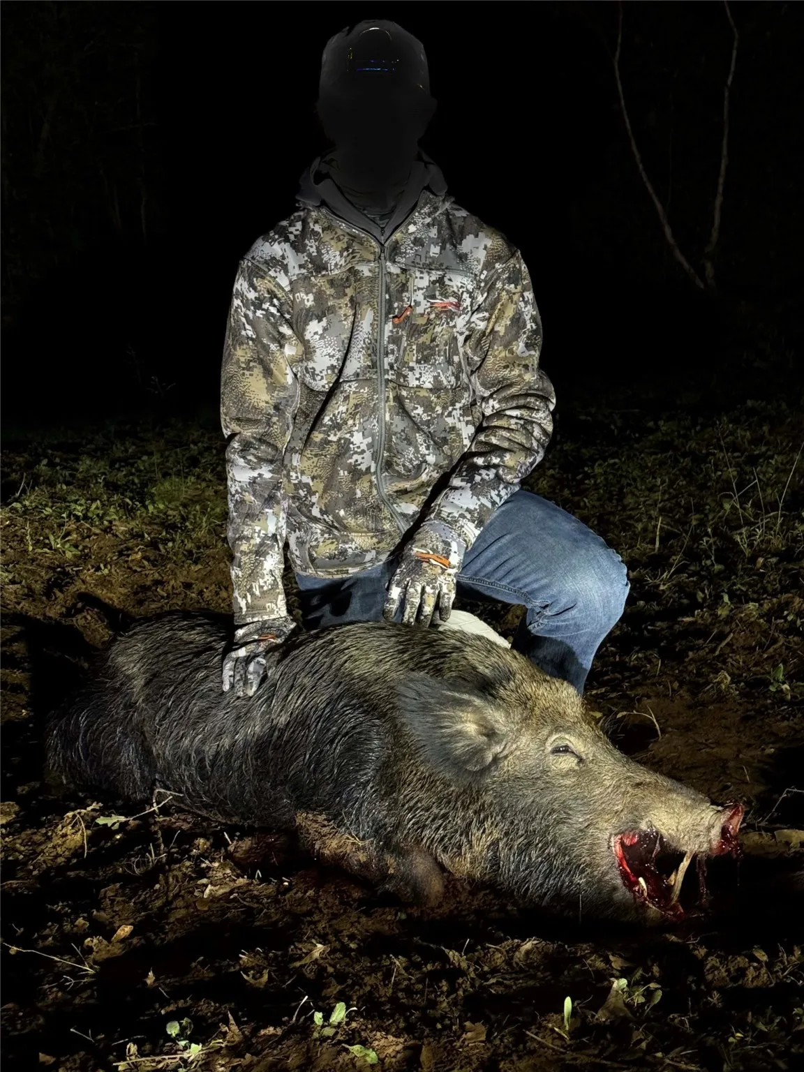 Wild hog hunt success on East TX Hunting Land for Sale in Winona TX