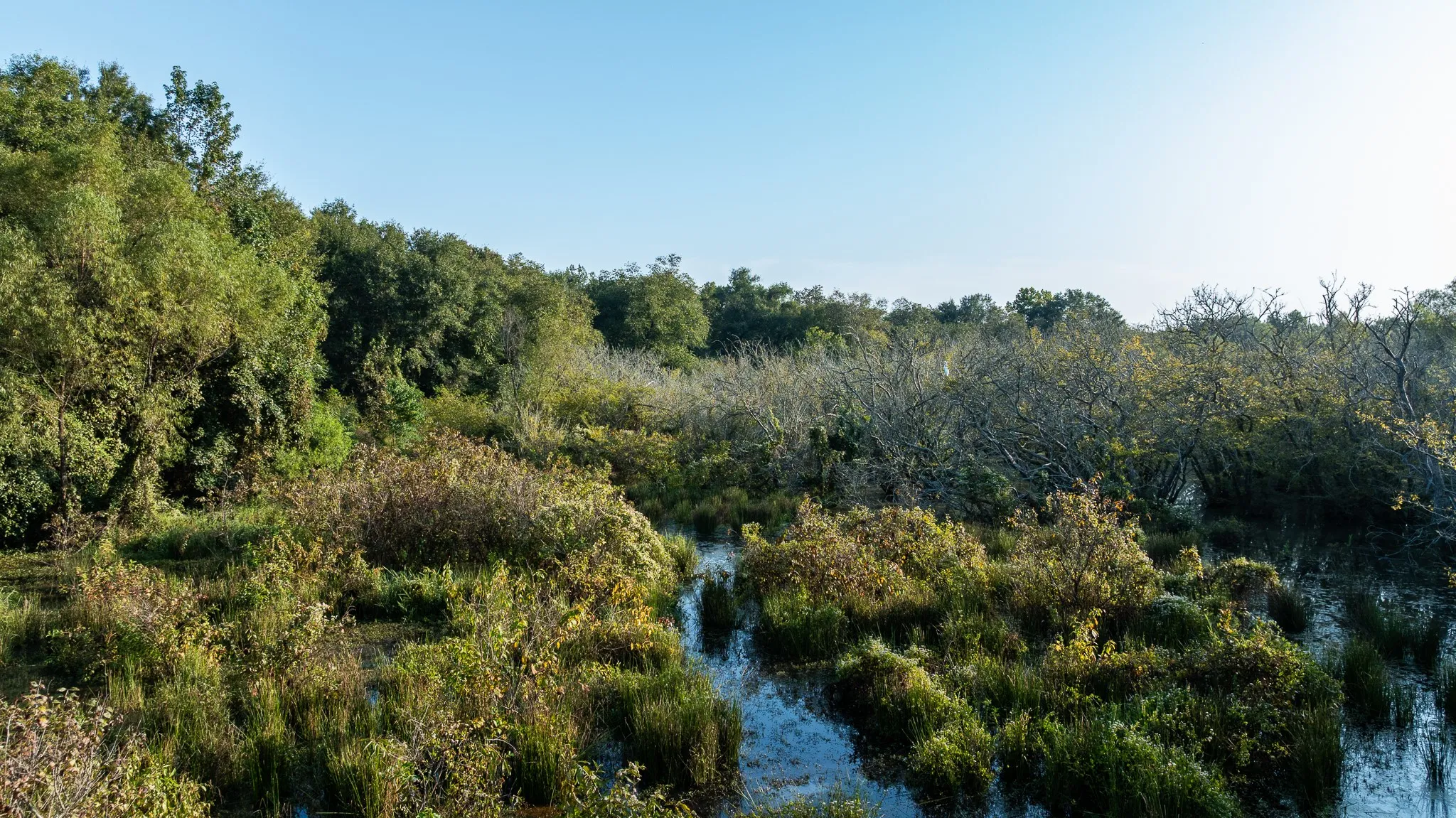 View of local wilderness featuring a large body of water