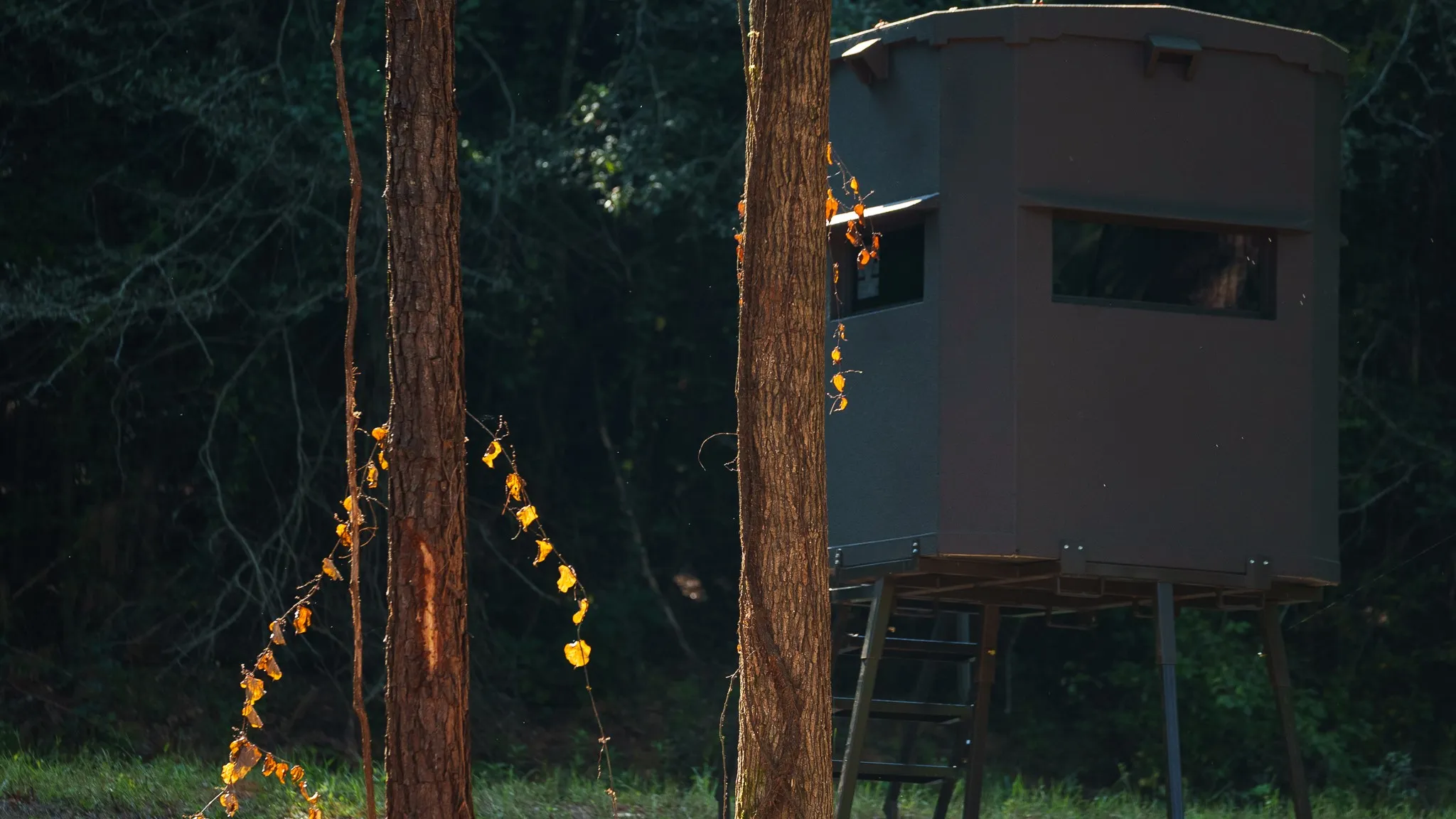 Hunting stand on property