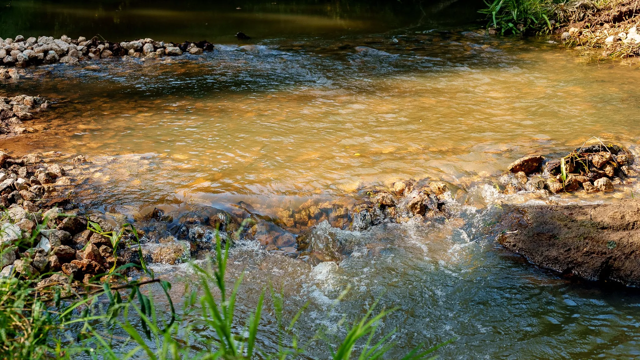 Harris Creek flows from the Northeast corner to the Southwest corner.