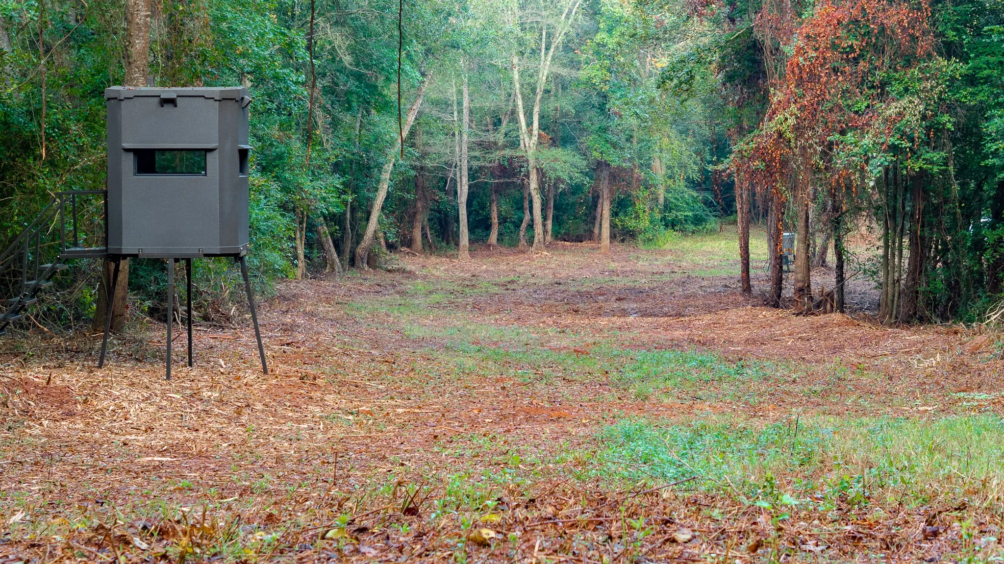 View of wildlife stand in wildlife travel corridor