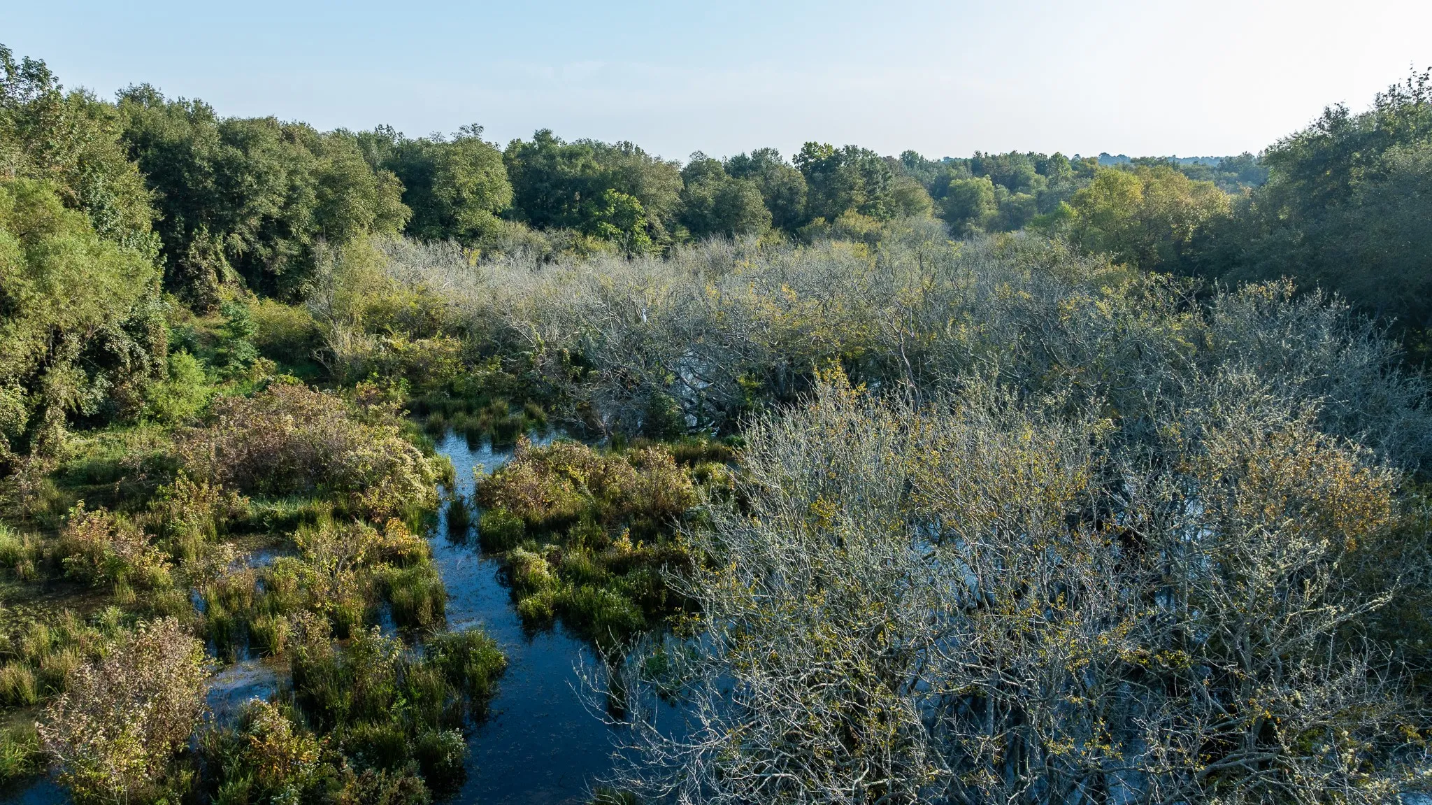 View of undeveloped land featuring a nearby body of water