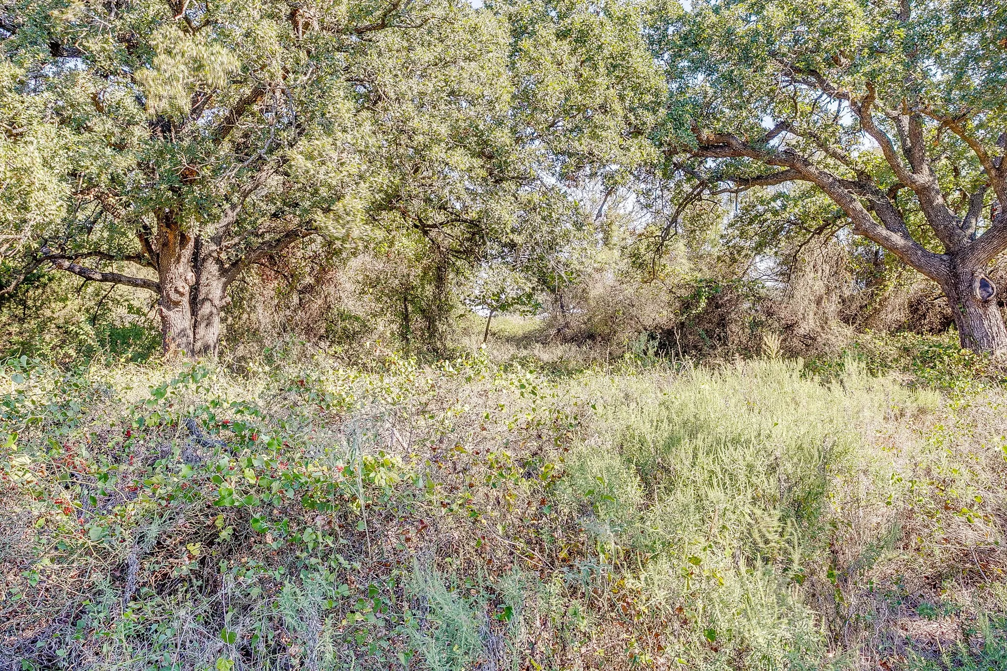 Manufactured Home For Sale in Parker County , 5878 Greenwood Road, Millsap, Texas 76066, 4 Bedroom, 3 Bathroom, Garage spaces, 2,340 Sqft, built in 2022, mls#21088734, Real Estate Agent in Millsap, Homes For Sale in Parker county, Homes For Sale in Millsap, Realtor in Millsap Texas, Real Estate Brokerage Independent Realty Texas, Luminita Cordes Realtor