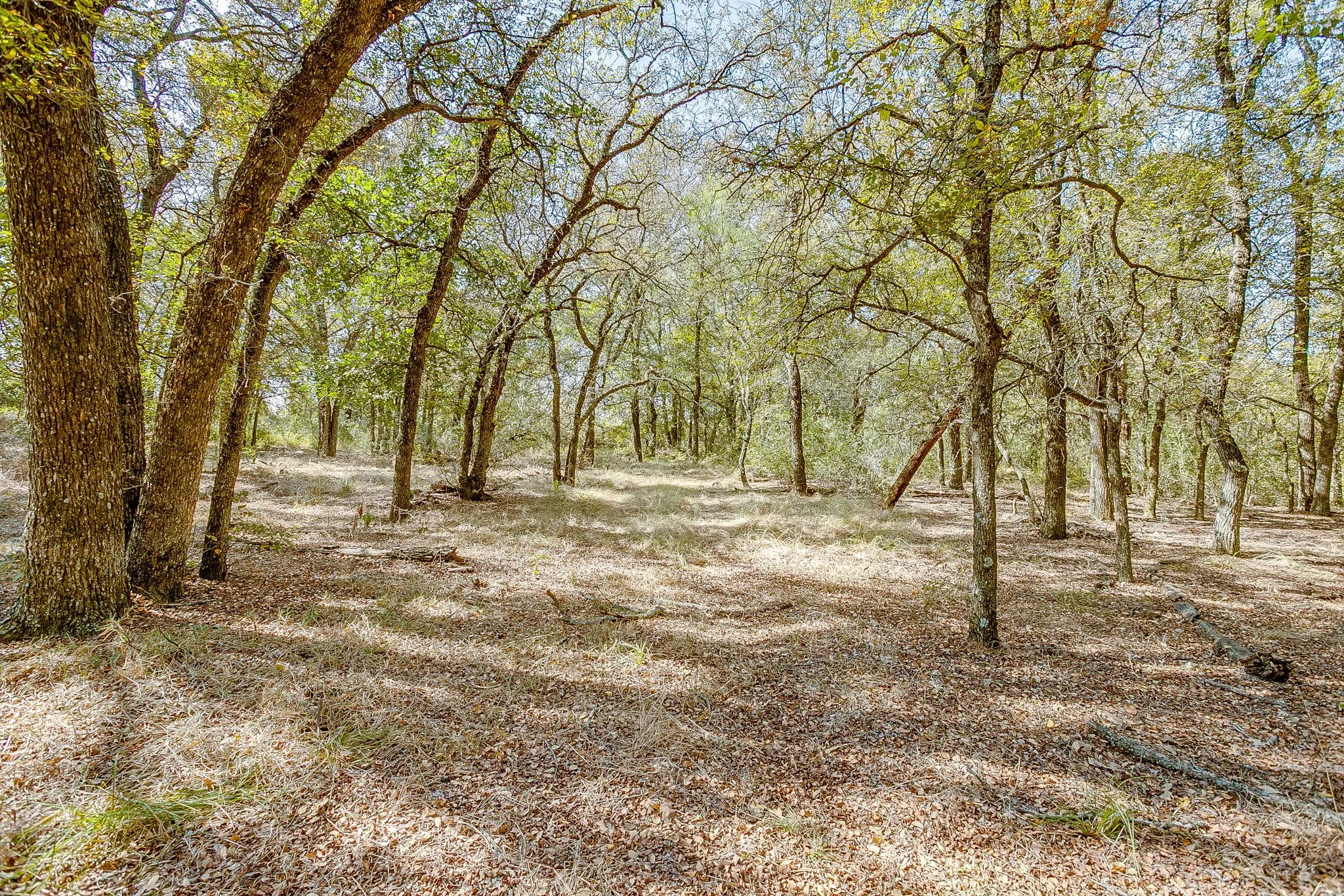 Manufactured Home For Sale in Parker County , 5878 Greenwood Road, Millsap, Texas 76066, 4 Bedroom, 3 Bathroom, Garage spaces, 2,340 Sqft, built in 2022, mls#21088734, Real Estate Agent in Millsap, Homes For Sale in Parker county, Homes For Sale in Millsap, Realtor in Millsap Texas, Real Estate Brokerage Independent Realty Texas, Luminita Cordes Realtor