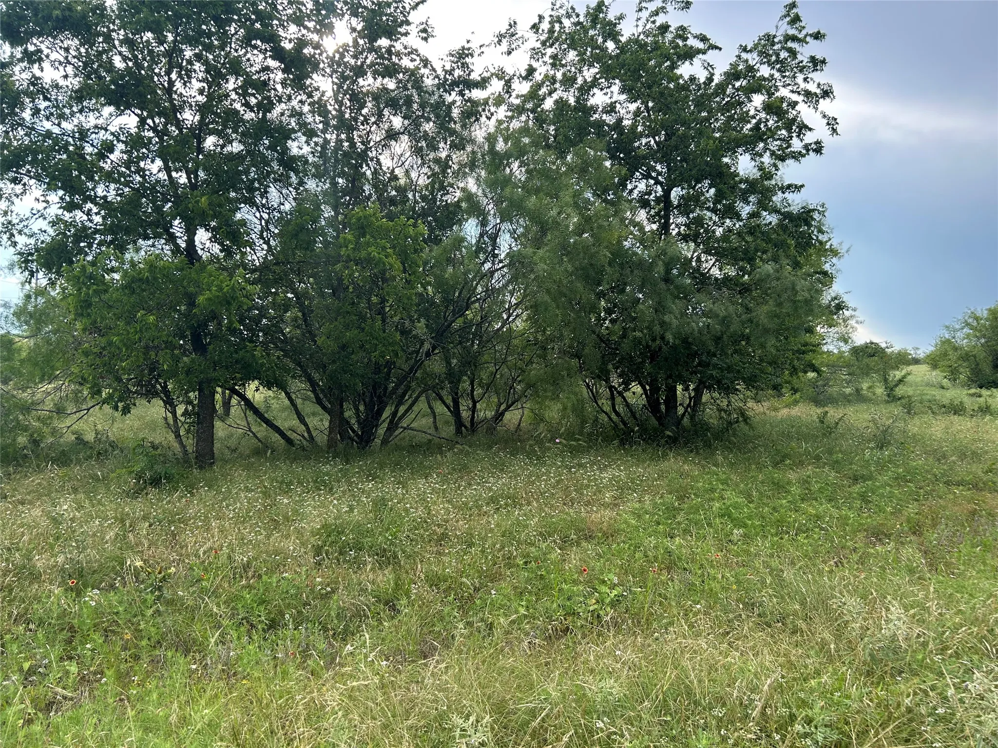 Unimproved Land For Sale in Parker County , 4060 Mirielle Drive, Aledo, Texas 76008, 0, 0, Garage spaces, 0 Sqft, built in 0, Price $175,000, mls#21088173, Real Estate Agent in Aledo, Homes For Sale in Parker county, Homes For Sale in Aledo, Realtor in Aledo Texas, Real Estate Brokerage Independent Realty Texas, Luminita Cordes Realtor